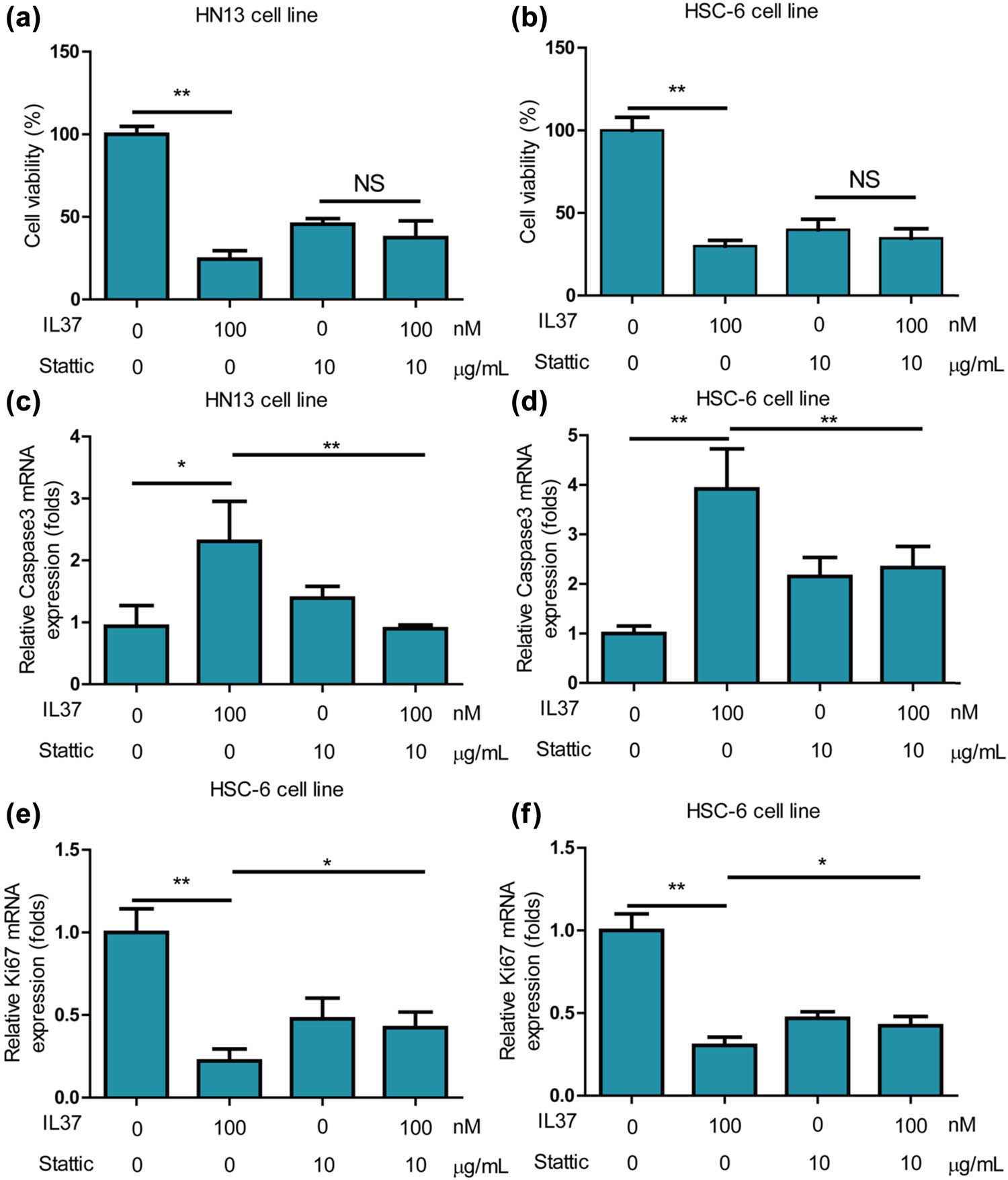 Figure 6
Stattic significantly compromised inhibitory effects of IL-37 on growth of oral cancer cells and promotion effects of IL-37 on apoptosis of oral cancer cells. (a) IL-37 did not inhibit cell viability of HN13 cells under treatment of stattic. (b) IL-37 did not inhibit cell viability of HSC-6 cells under treatment of stattic. (c) IL-37 did not increase cell apoptosis of HN13 cells under treatment of stattic. (d) IL-37 did not increase cell apoptosis of HSC-6 cells under treatment of stattic. (e) IL-37 did not inhibit expression of proliferation gene KI67 on HN13 cells under treatment of stattic. (f) IL-37 did not inhibit expression of proliferation gene KI67 on HSC-6 cells under treatment of stattic.