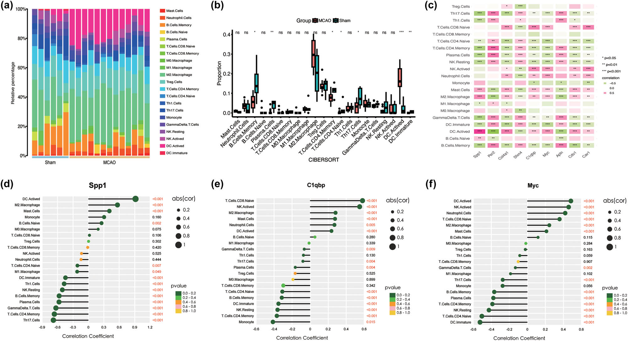 Figure 8 
                  Immune cell infiltration. (a) Bar plot showing the composition of 21 types of immune cells across samples. (b) Correlation heatmap of 21 types of immune cells and LR-DEGs. Red indicates a positive correlation, and green indicates a negative correlation. *p-value <0.05, **p-value <0.01, and ***p-value <0.001. (c) Box plot of 21 types of immune cells across different samples. (d)–(f). Correlation between expression levels of the Spp1, C1qbp, and Myc. The larger the circle, the stronger the correlations.
               