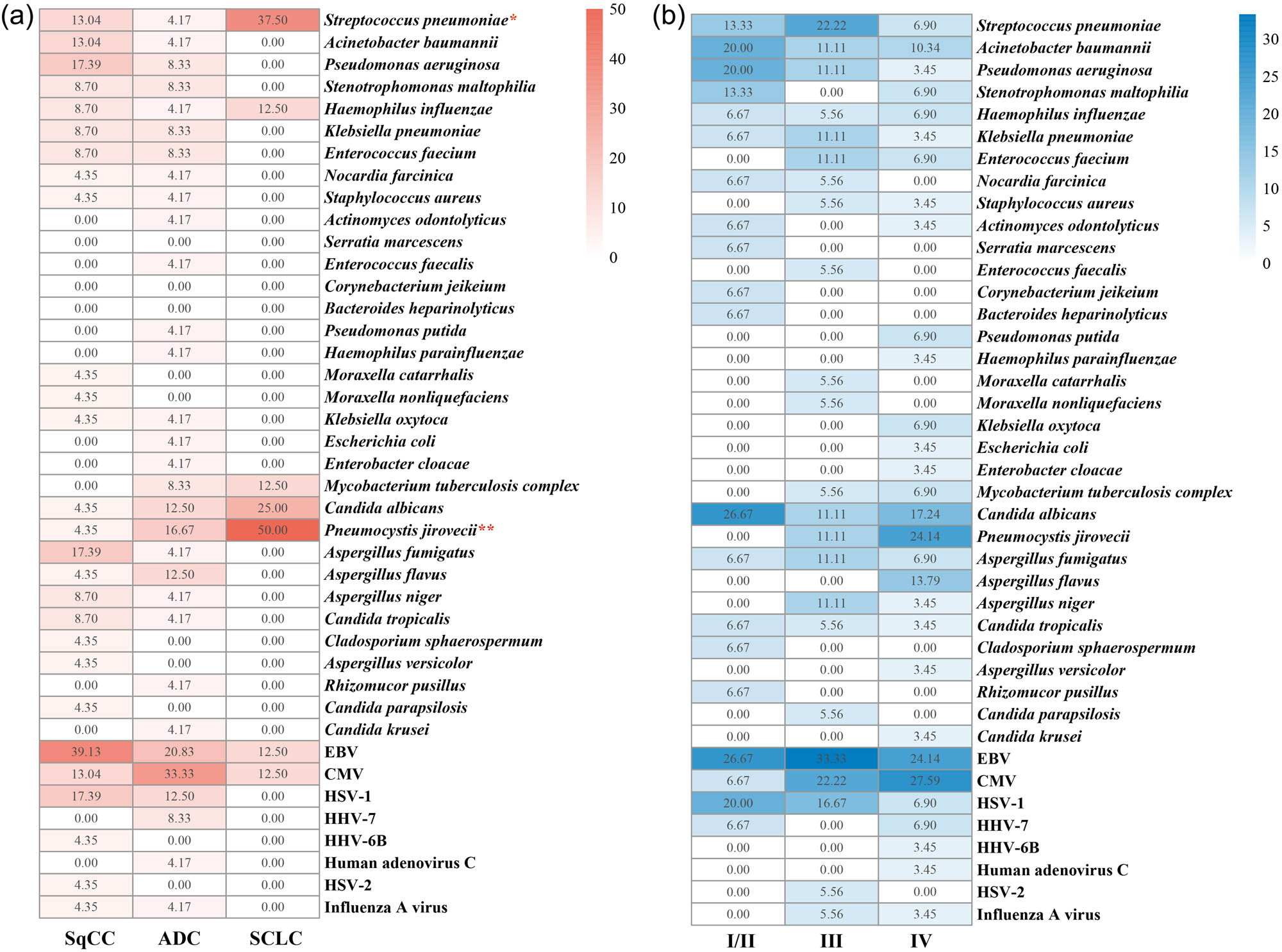 Figure 3 
                  Pathogen distribution across lung cancer stages and histological types. (a) Proportions of pathogens detected in different histological types of lung cancer, calculated as the number of cases positive for a specific pathogen divided by the total number of patients within each cancer type. (b) Proportions of pathogens detected across different cancer stages, calculated as the number of cases positive for a specific pathogen divided by the total number of patients within each stage group. Notable trends include the increased detection of CMV in late-stage patients and the exclusive presence of P. jirovecii and A. flavus in this group. Statistical significance was determined using the χ² test (*p < 0.05; **p < 0.01).
               