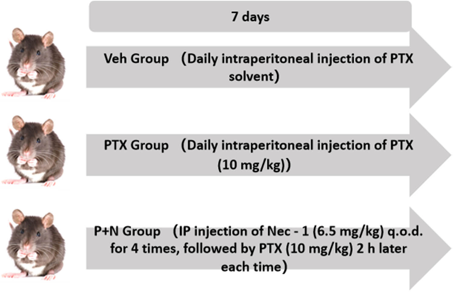 Teaser image from the article