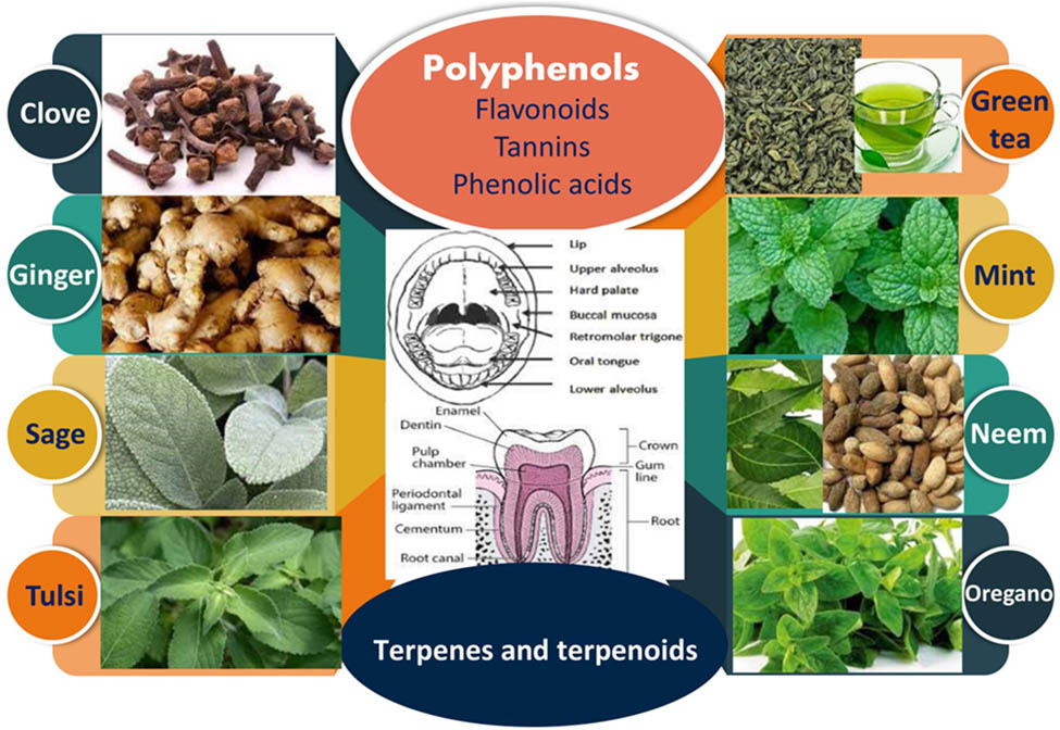 Teaser image from the article