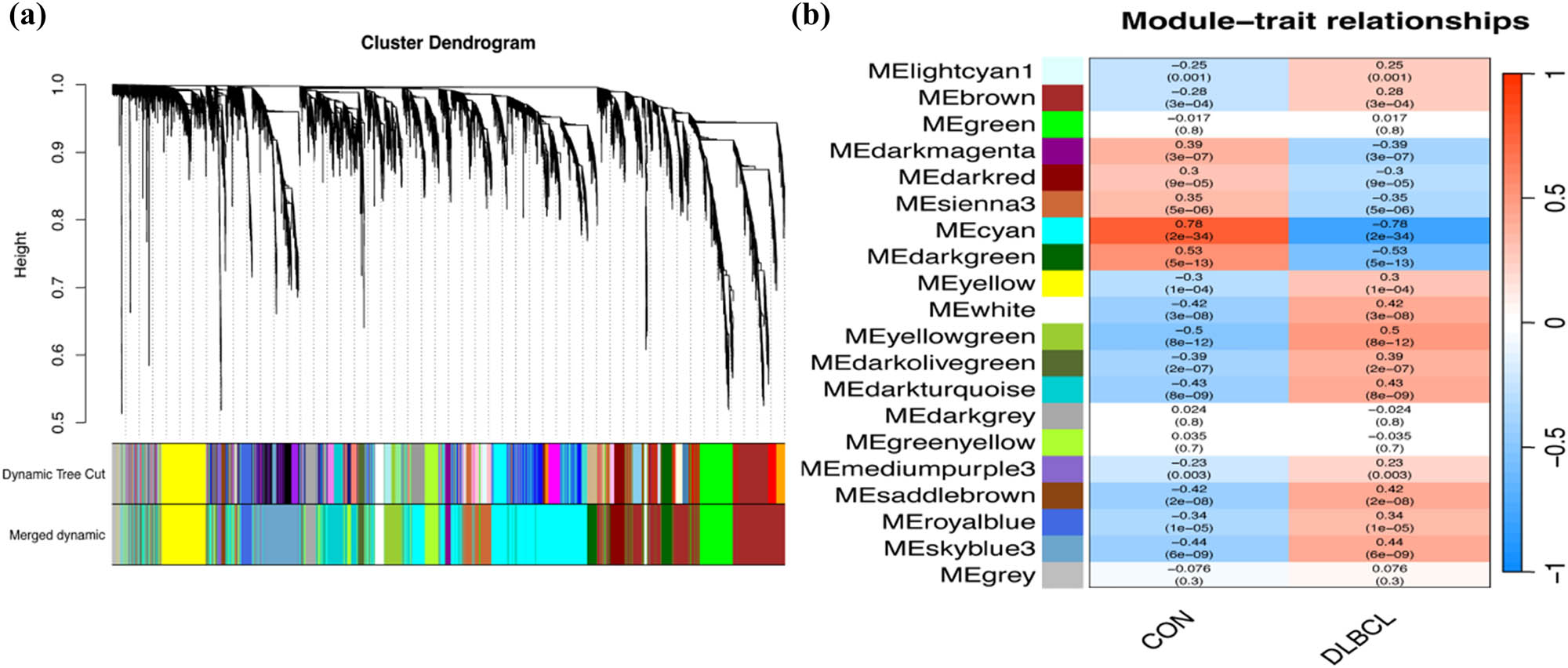 Teaser image from the article