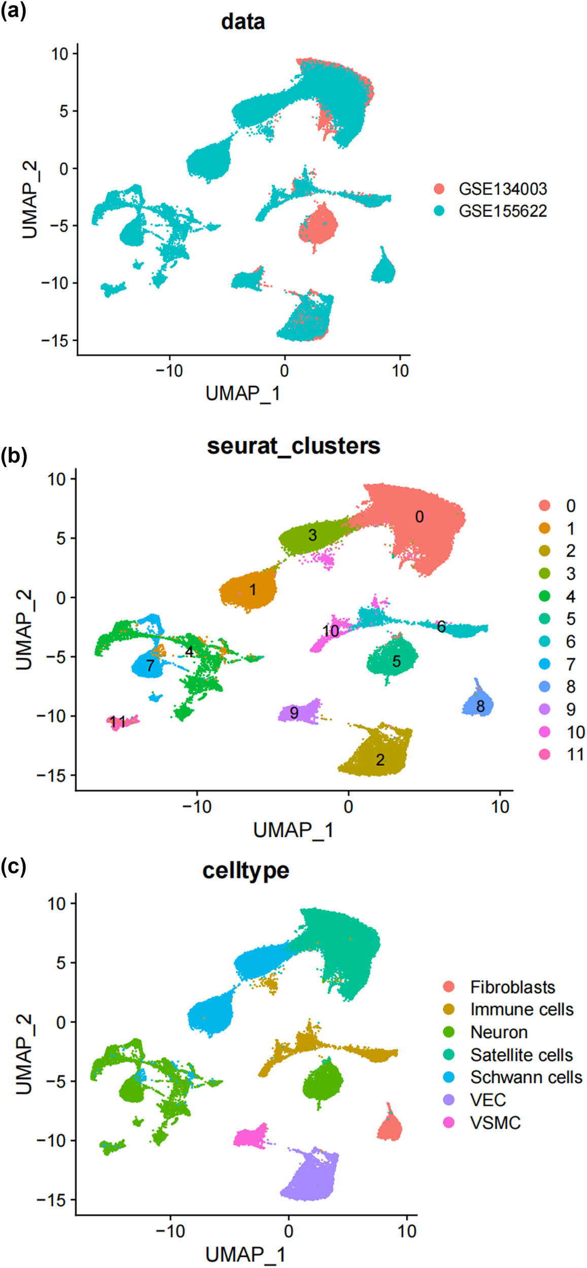 Teaser image from the article