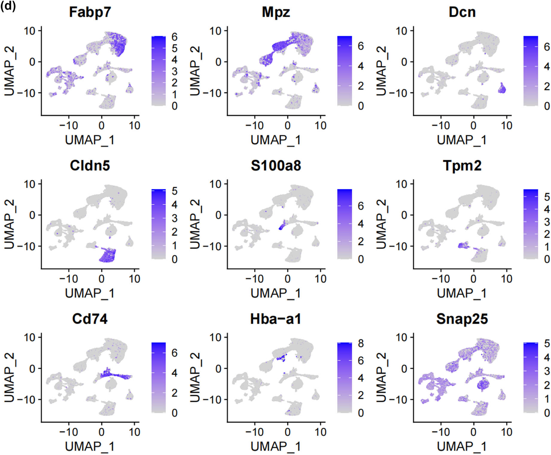 Figure 1
Unbiased clustering identified known cell populations in mice DRG. (a) UMAP plot showing the distribution of each dataset after integrating datasets using the harmony algorithm; (b) and (c) UMAP plot revealing the integrated cell map, with 12 cell clusters (b) of 7 annotated cell types (c). Each dot presents one single cell colored by clusters; (d) UMAP plot showing the scaled expression of representative marker genes across cell types. 8525.