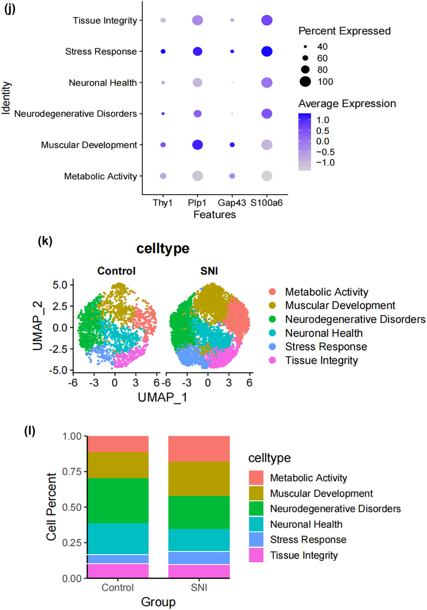 Figure 2
Subtypes of SCs in the DRG. (a) UMAP plot showing representative genes in SCs; (b) UMAP plot of 8525 SCs clustered by annotated cell types; (c)–(h) GO enrichment analysis of six SC subtypes marker genes, shown in terms of biological process (BP), cellular component (CC), and molecular function (MF), BP refers to the biological processes the genes are involved in, CC denotes the cellular components where the genes are localized, and MF describes the molecular functions of the encoded proteins.; (i) UMAP plot showing the named SCs along with GO enrichment analysis; (j) UMAP plot showing the expression levels of selected genes in six cell subsets. UMAP plot (k) and Bar plot (l) showing the cell percentage of each SC subtype in Control and SNI mice.