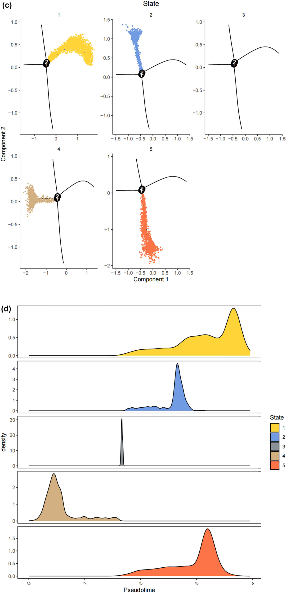 Figure 3
The states of SCs in the DRG. (a) Trajectory plot illustrating the evolutionary trajectory of SCs; (b) trajectory plot illustrating the evolutionary trajectory of SCs colored by cell states; (c) branched heatmap showing genes with highly significant branch-specific expression patterns in the pseudotime trajectory; (d) ridge plot showing the Cell differentiation process of the five states of SCs; and (e) GSVA enrichment analysis of hallmark gene sets in SC subtypes.