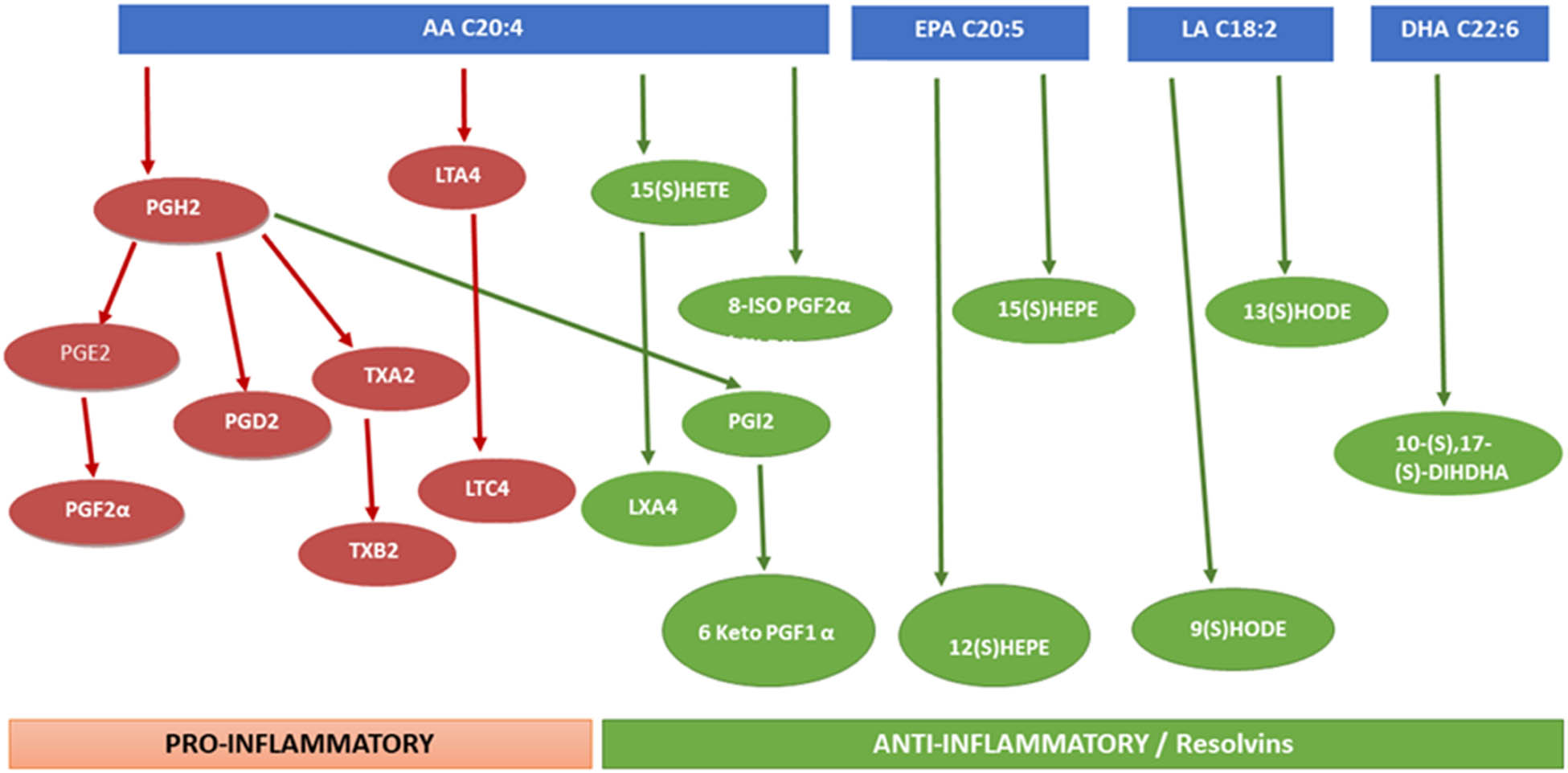 Teaser image from the article