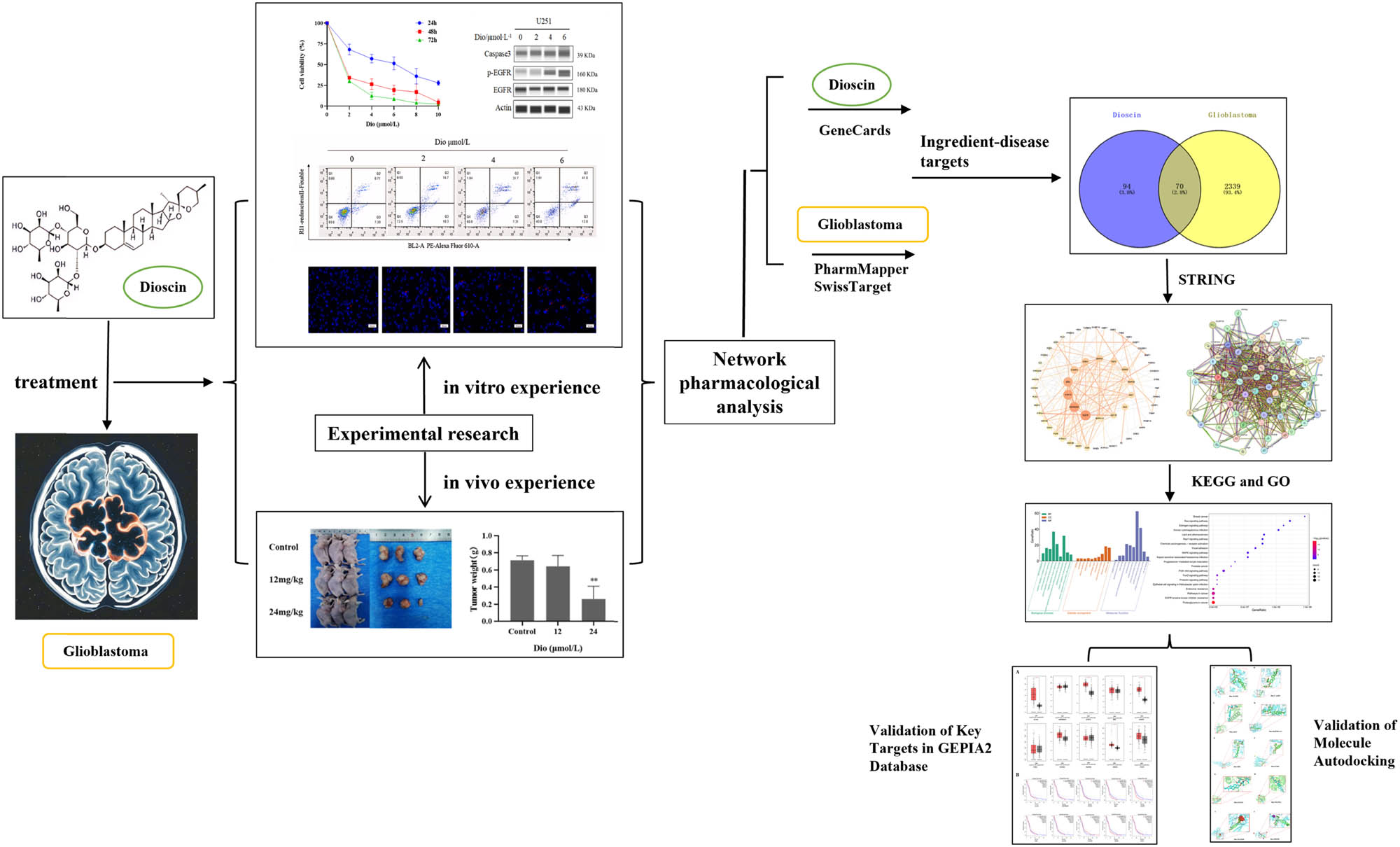 Teaser image from the article