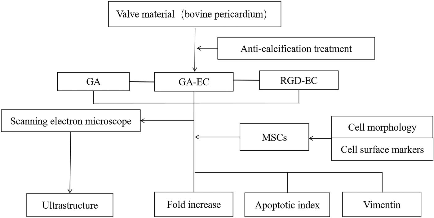 Teaser image from the article