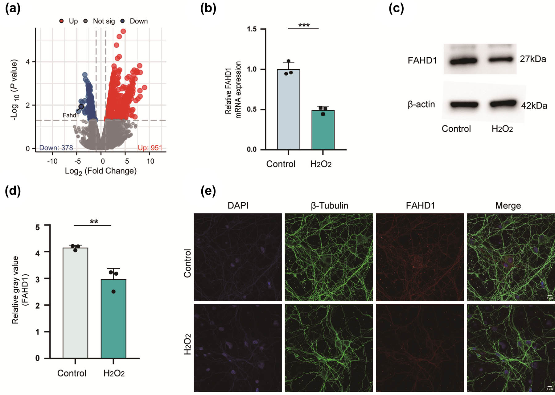 Teaser image from the article