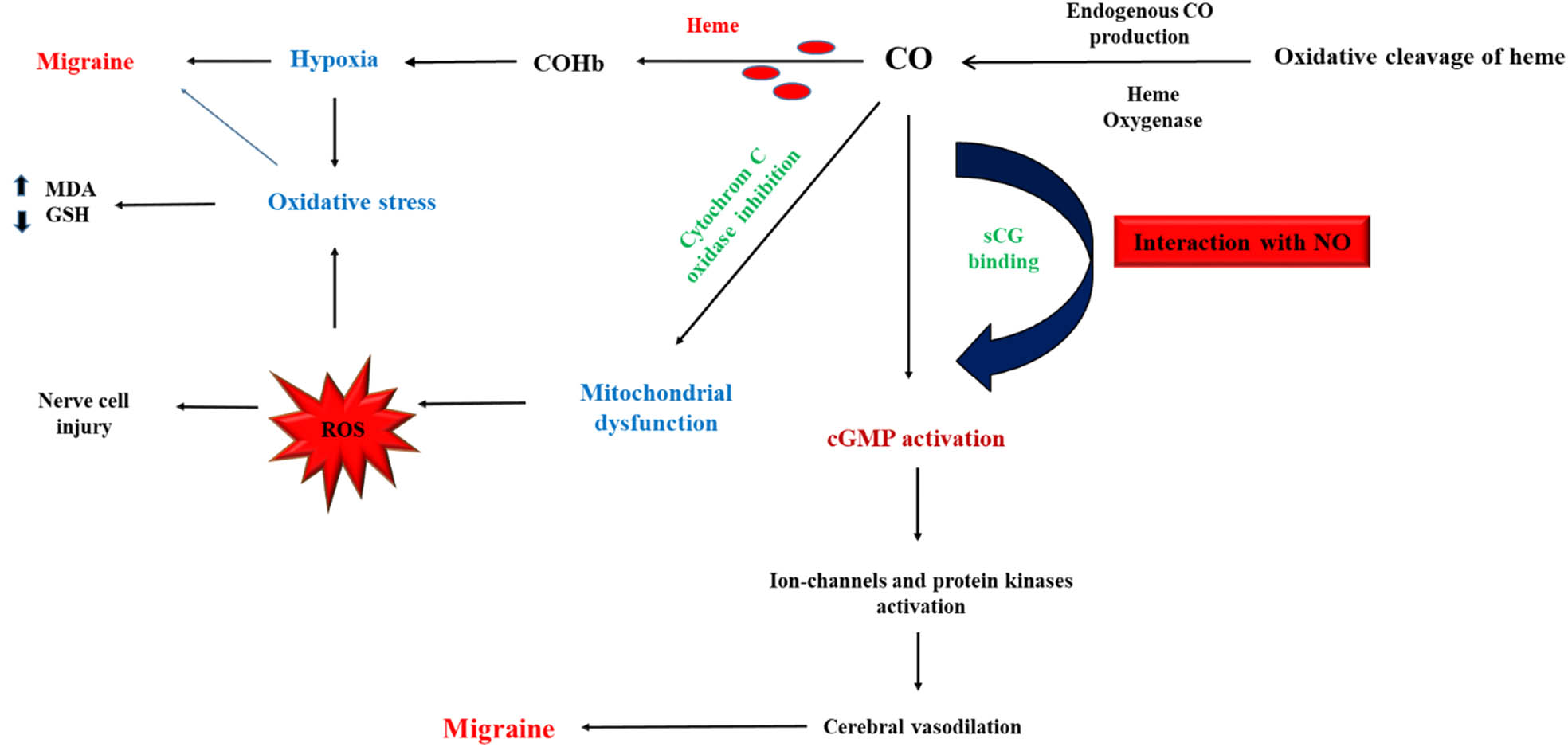 Teaser image from the article