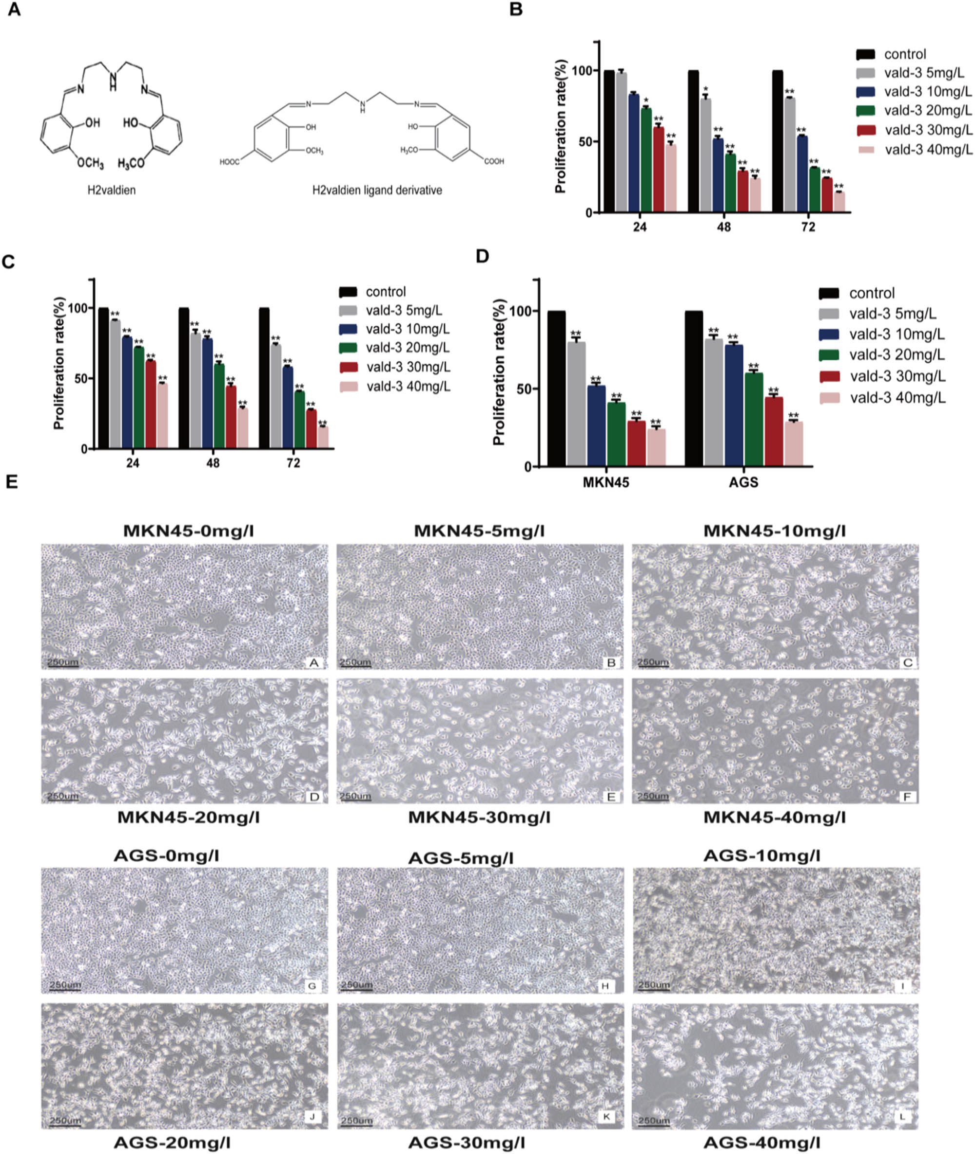 Teaser image from the article
