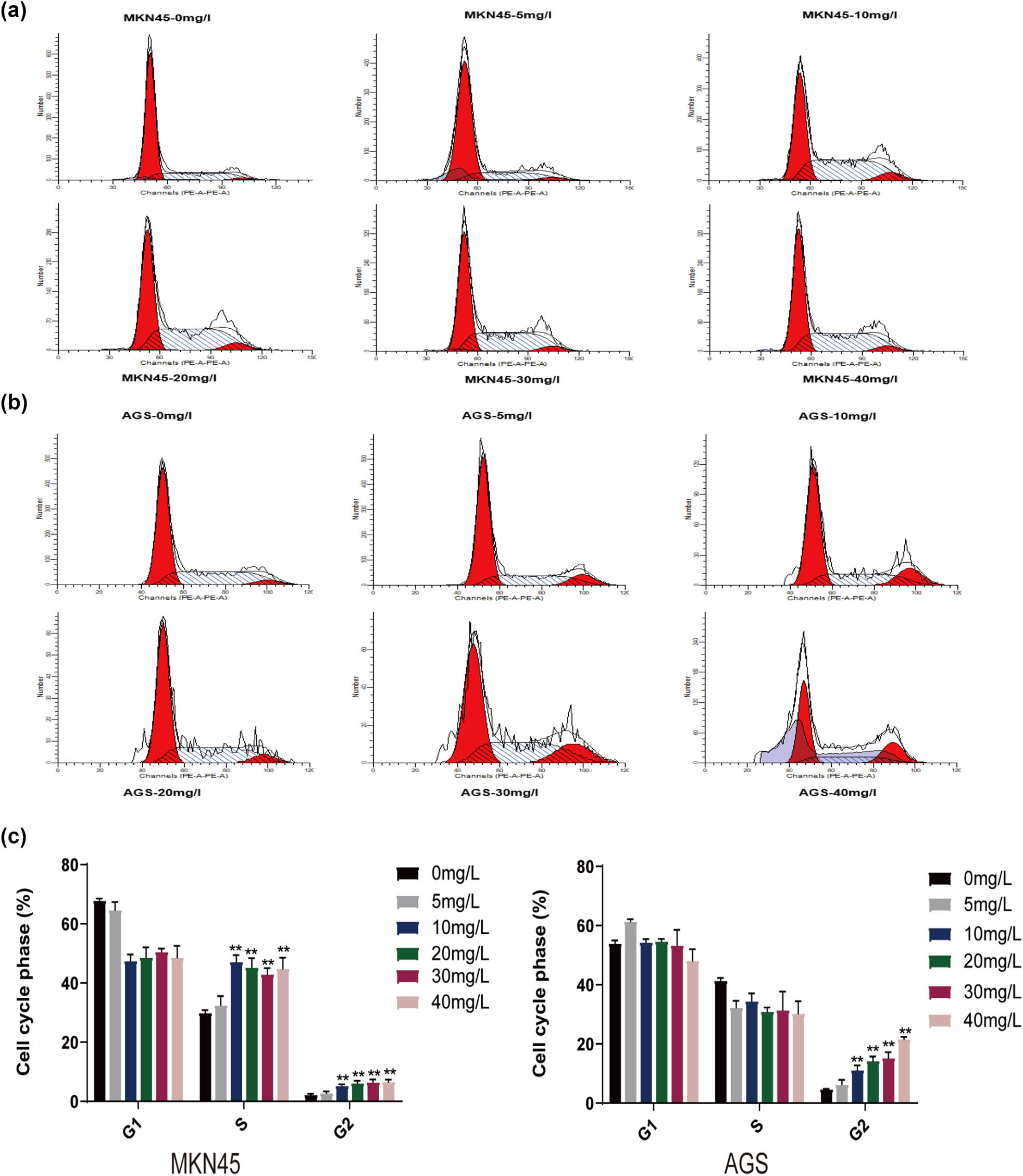 Figure 2 
                  H2valdien3 arrests the cell cycle of MKN45 and AGS significantly. MKN45 and AGS cells were cultured in six-well plates for 24 h and then treated with different concentrations of H2valdien3 (5–40 mg/L) for 48 h. (a) Cell cycle stage of MKN45. (b) Cell cycle stage of AGS. (c) Effects of H2valdien3 on the cell cycle of MKN45 and AGS at various concentrations using flow cytometry. All results represent three independent experiments, and each value is mean ± SD. *P < 0.05 and **P < 0.01.
               