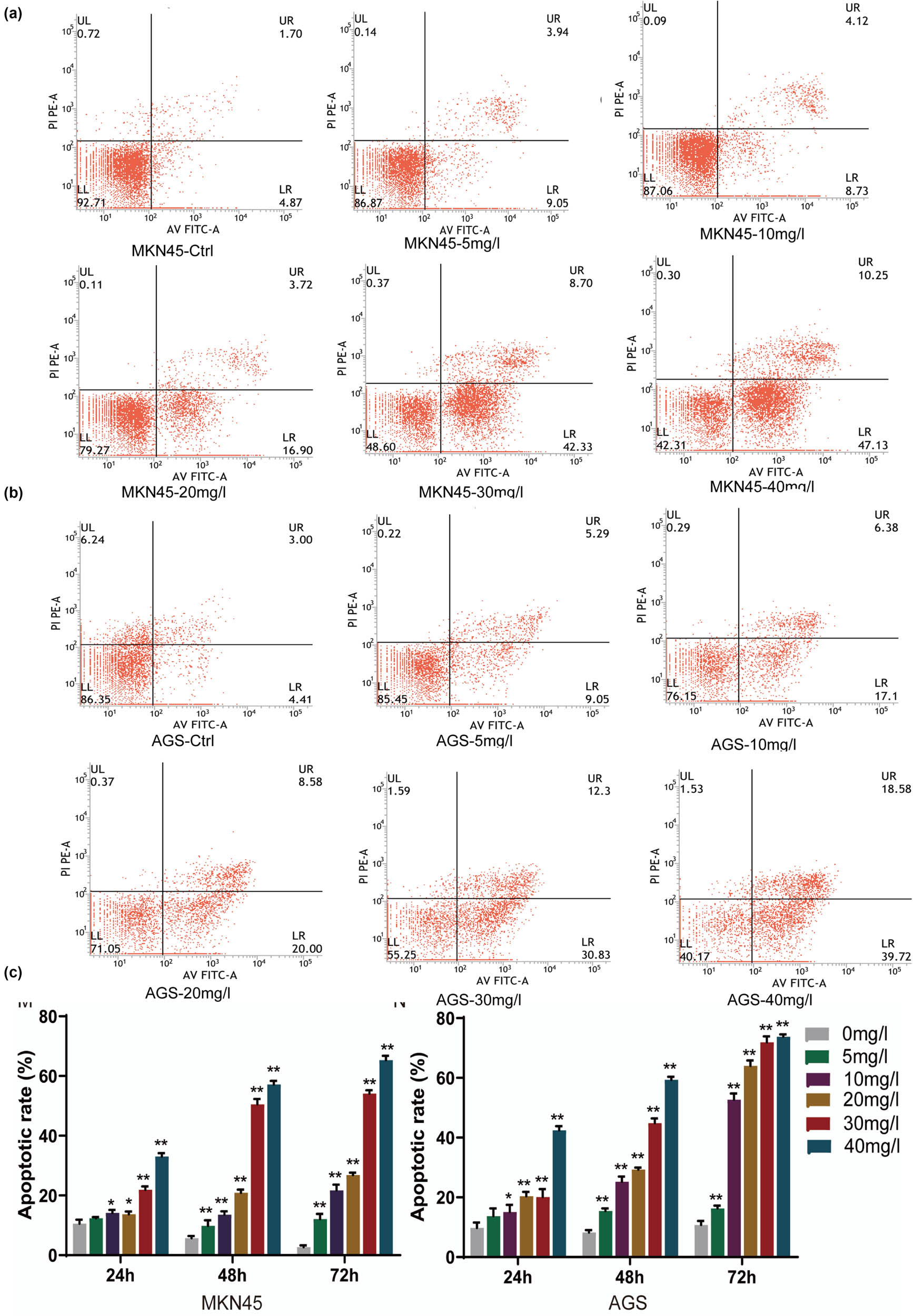 Figure 4 
                  H2valdien3 promotes apoptosis of GC cells. (a) and (b) MKN45 and AGS cells were cultured in six-well plates for 24 h and then treated with different concentrations of H2valdien3 (5–40 mg/L) for 48 h. The Annexin V-APC/PI assay showed that the apoptosis rate of MKN45 and AGS increased in a concentration-dependent manner. (c) Quantitative analysis of the apoptosis rate of MKN45 and AGS. All results represent three independent experiments, and each value is mean ± SD. *P < 0.05 and **P < 0.01.
               