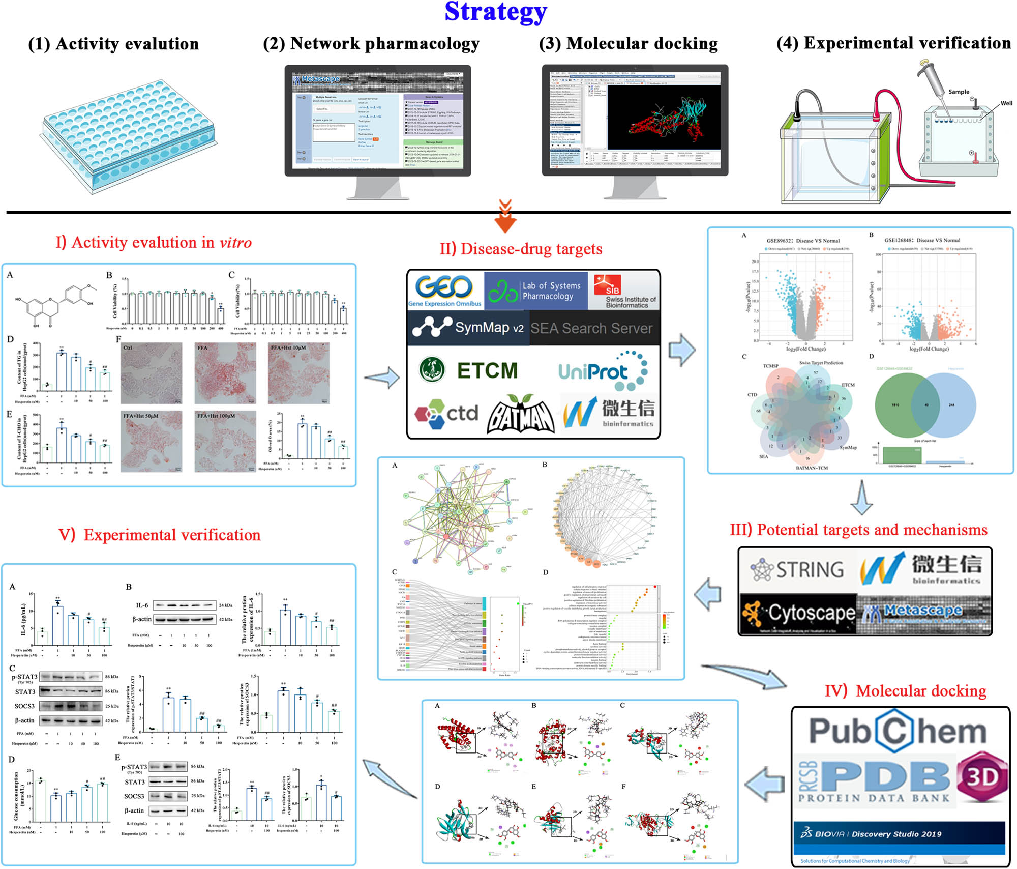 Teaser image from the article