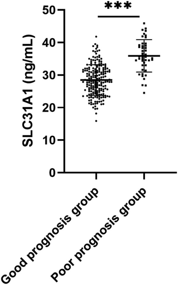 Figure 1 
                  Comparison of serum SLC31A1 levels between good and poor prognosis groups. Serum SLC31A1 levels were determined by ELISA. *** indicates P < 0.001.