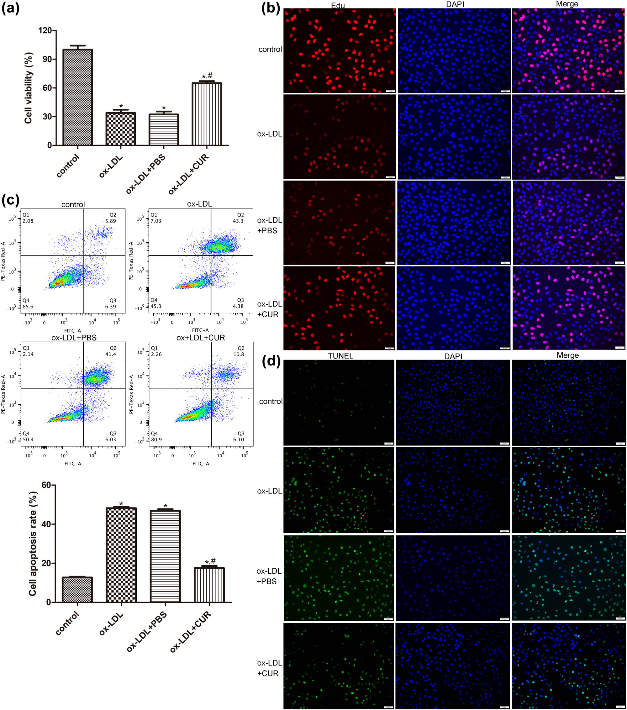 Teaser image from the article