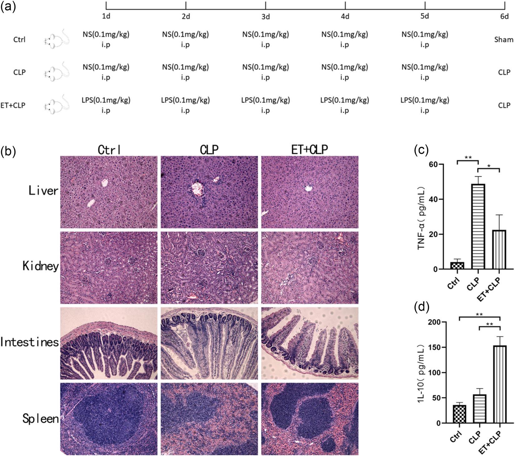 Teaser image from the article