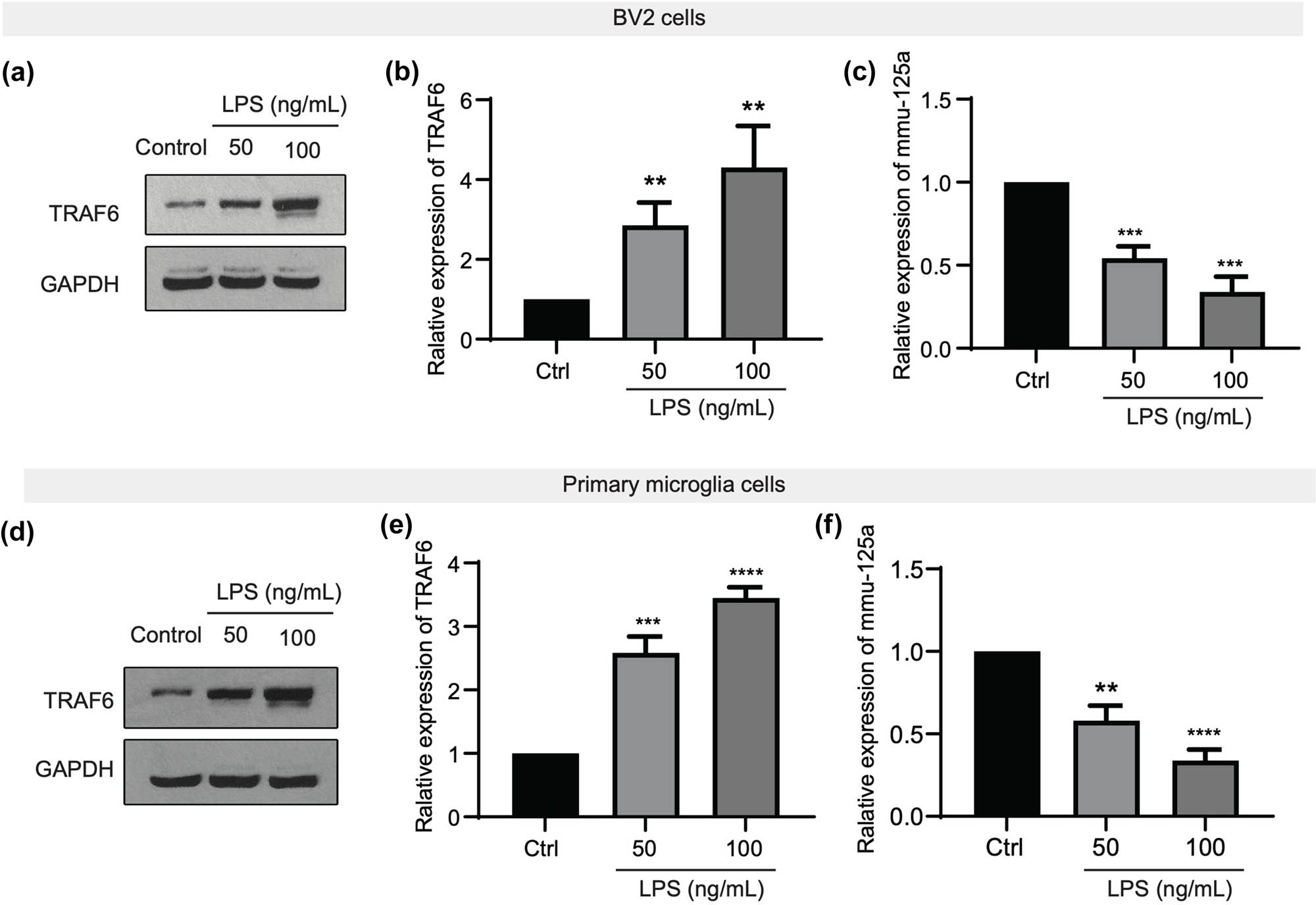 Teaser image from the article