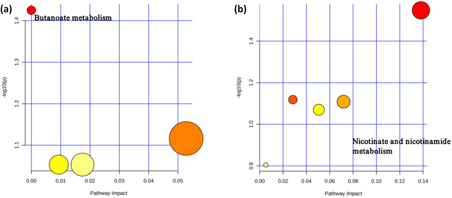 Figure 4 
                  Potential metabolic pathways associated with brain atrophy and cognitive function. (a) Potential metabolic pathways involved in changes related to brain atrophy in MR positive analysis (based on metabolites). (b) Potential metabolic pathways involved in changes related to cognitive function in MR positive analysis (based on metabolites). Based on Kyoto Encyclopedia of Genes and Genomes (KEGG) pathway analysis. The color and size of each circle represent the p-value from topological analysis (yellow: higher p-value, red: lower p-value) and pathway impact score (larger circles indicate higher impact scores).
               