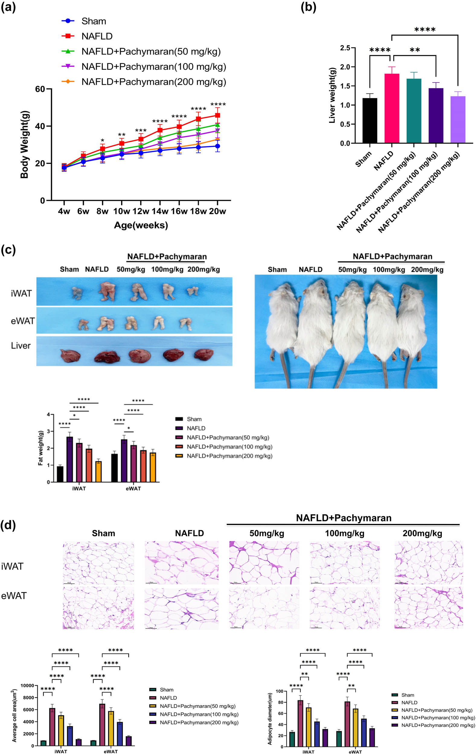 Teaser image from the article