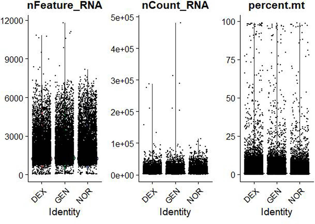 Figure 1 
                     Violin plots of raw single‐cell QC metrics across DEX, GEN, and NOR groups prior to filtering. Violin plots of raw QC metrics (nFeature_RNA, nCount_RNA, percent.mt, percent_ribo, percent_Hb) across DEX, GEN, and NOR groups before filtering. These distributions illustrate the presence of empty droplets (<500 genes, <1,000 UMIs), doublets/high-content cells (>8,000 genes, >50,000 UMIs), high mitochondrial content (up to 60%), and blood contamination (percent_Hb > 1%).
                  