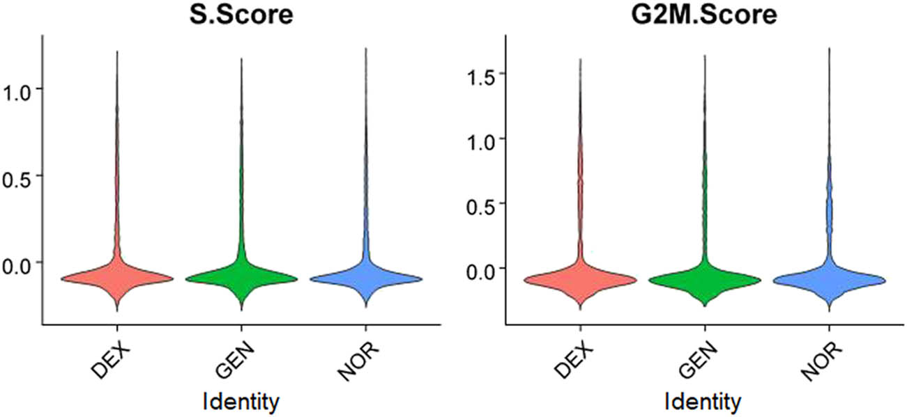 Figure 4 
                     Cell cycle distribution of inner ear cells in different groups.
                  