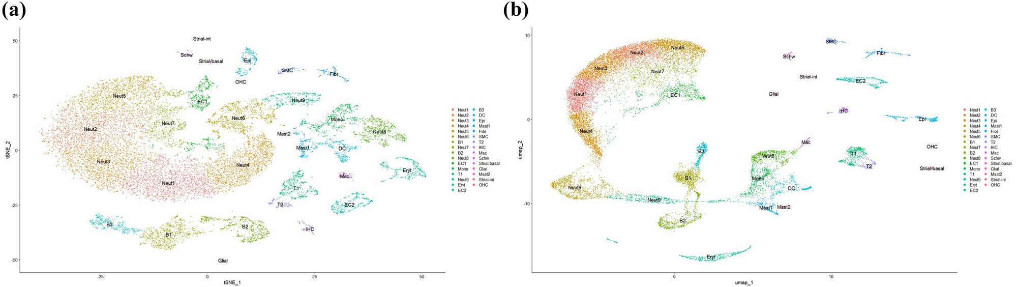Figure 5 
                        UMAP and t-SNE visualizations of Harmony‐corrected single‐cell data demonstrating batch integration across DEX, GEN, and NOR samples. (a) UMAP visualization of Harmony-corrected single-cell data across DEX, GEN, and NOR samples. (b) t-SNE visualization of the same integrated dataset, highlighting batch alignment.
                     