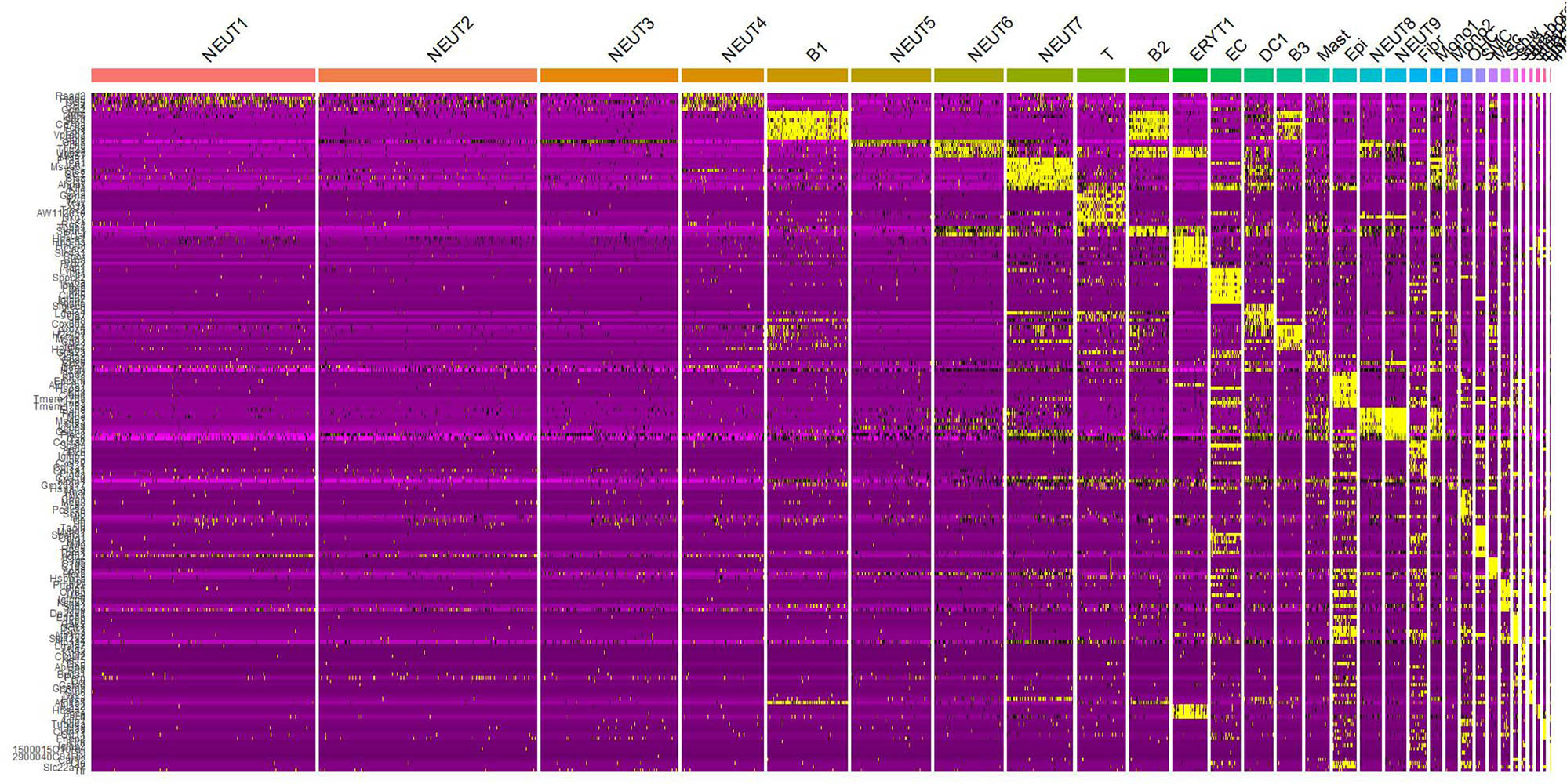 Figure 6 
                        Heatmap of cell type-specific gene expression.
                     