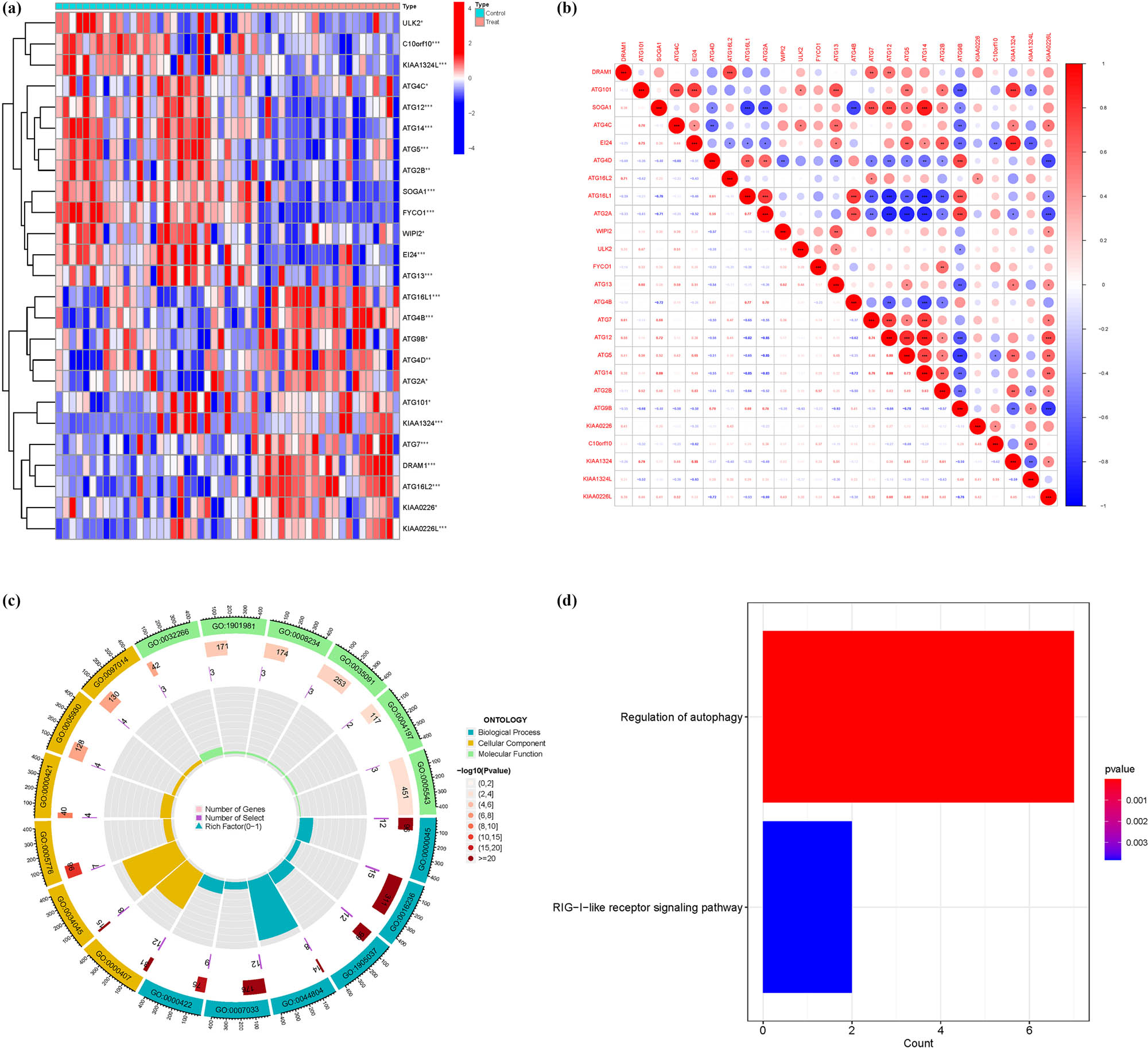 Figure 2
Principal component analysis. (a) Difference analysis. (b) Correlation analysis. (c) GO. (d) KEGG.