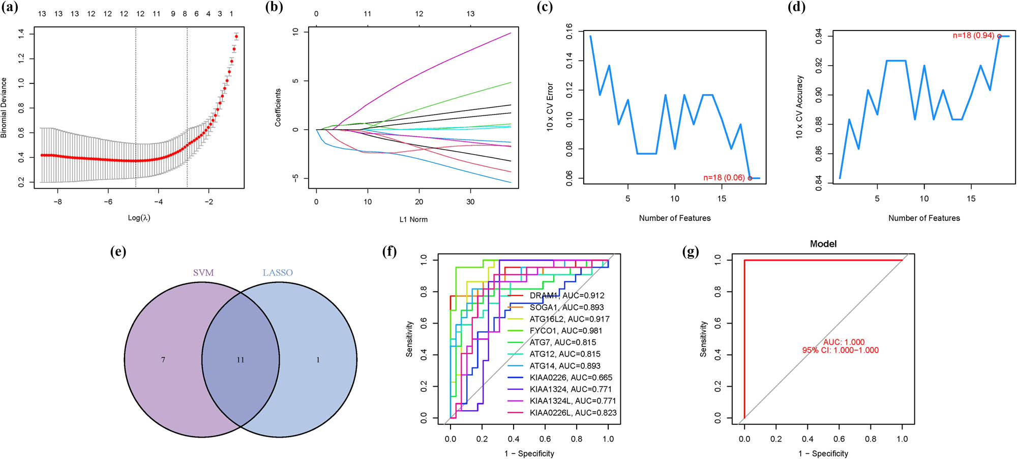 Figure 3
The ARG signature. (a) Regression of Lasso. (b) Cross-validation. (c and d) Accuracy and error. (e) Venn. (f) AUC of 11 hub genes. (g) AUC of the training group.