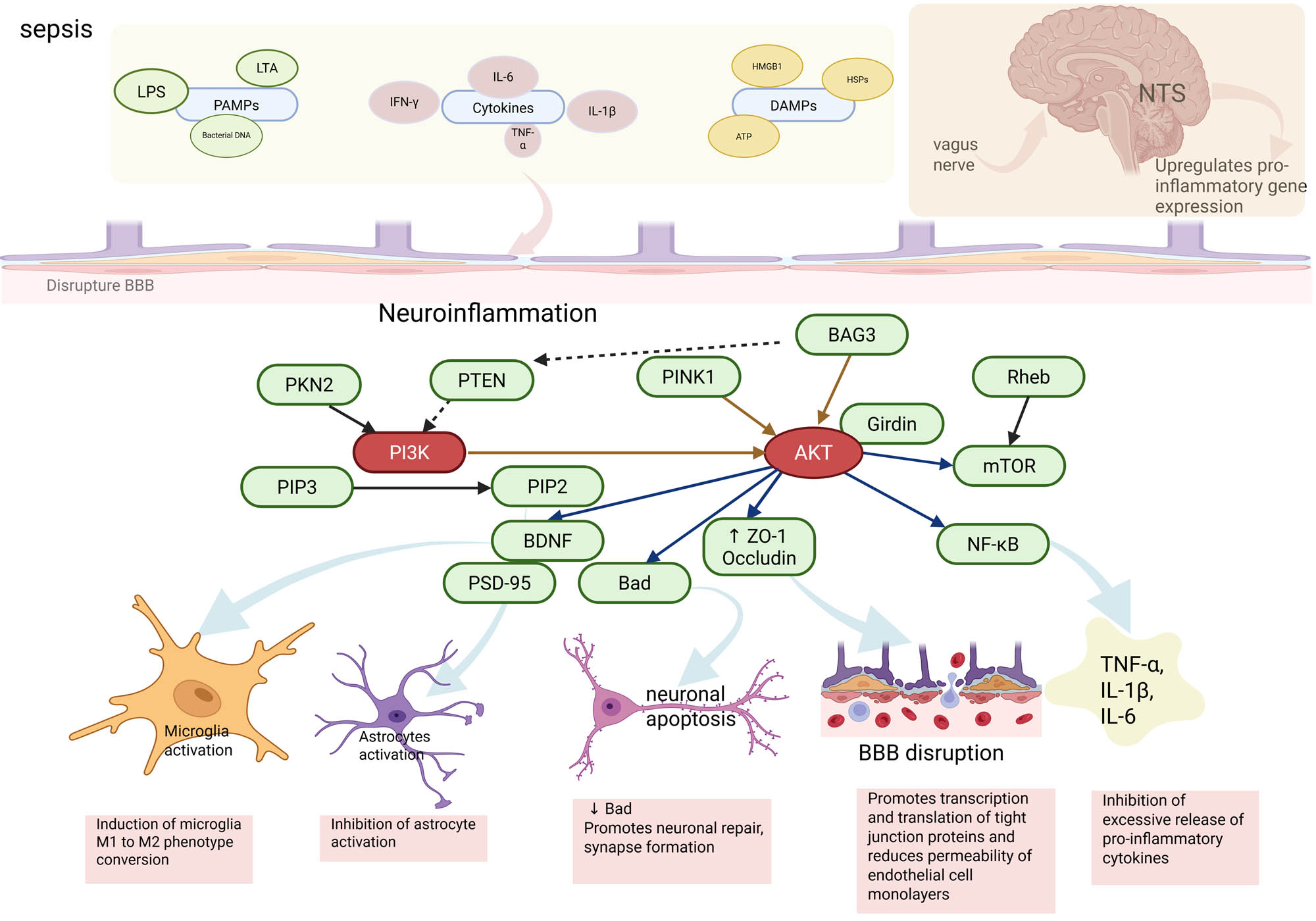 Teaser image from the article