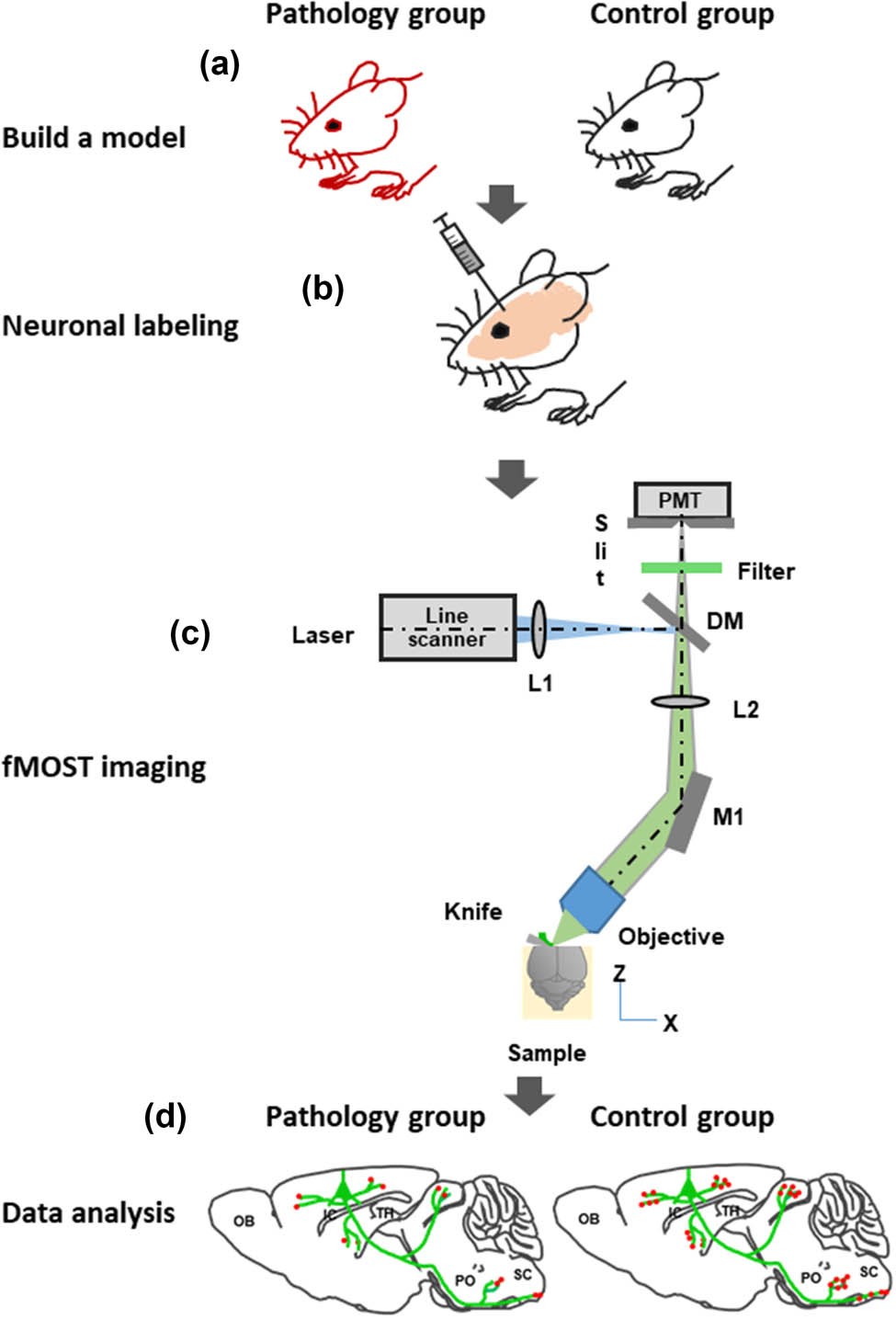 Teaser image from the article