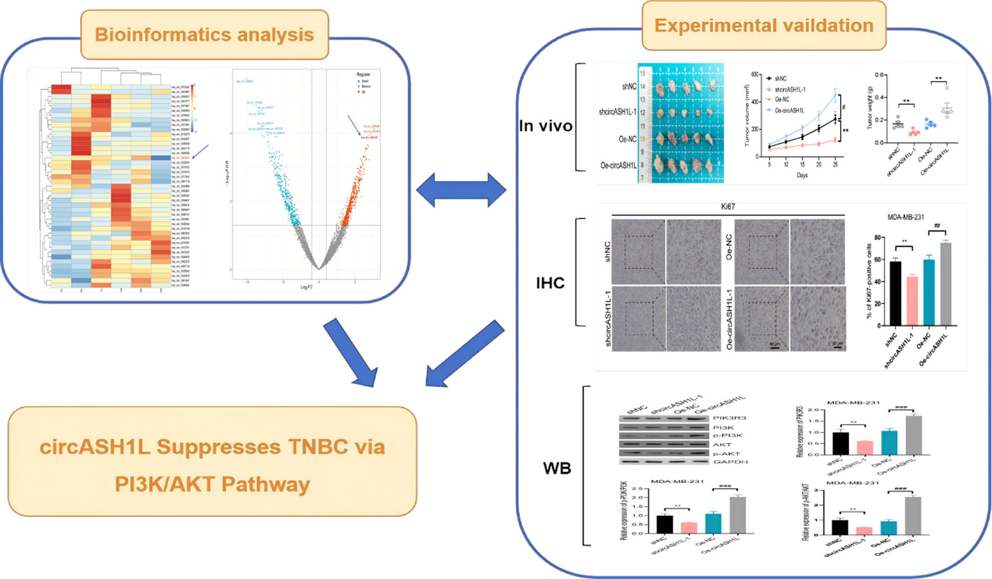 Teaser image from the article