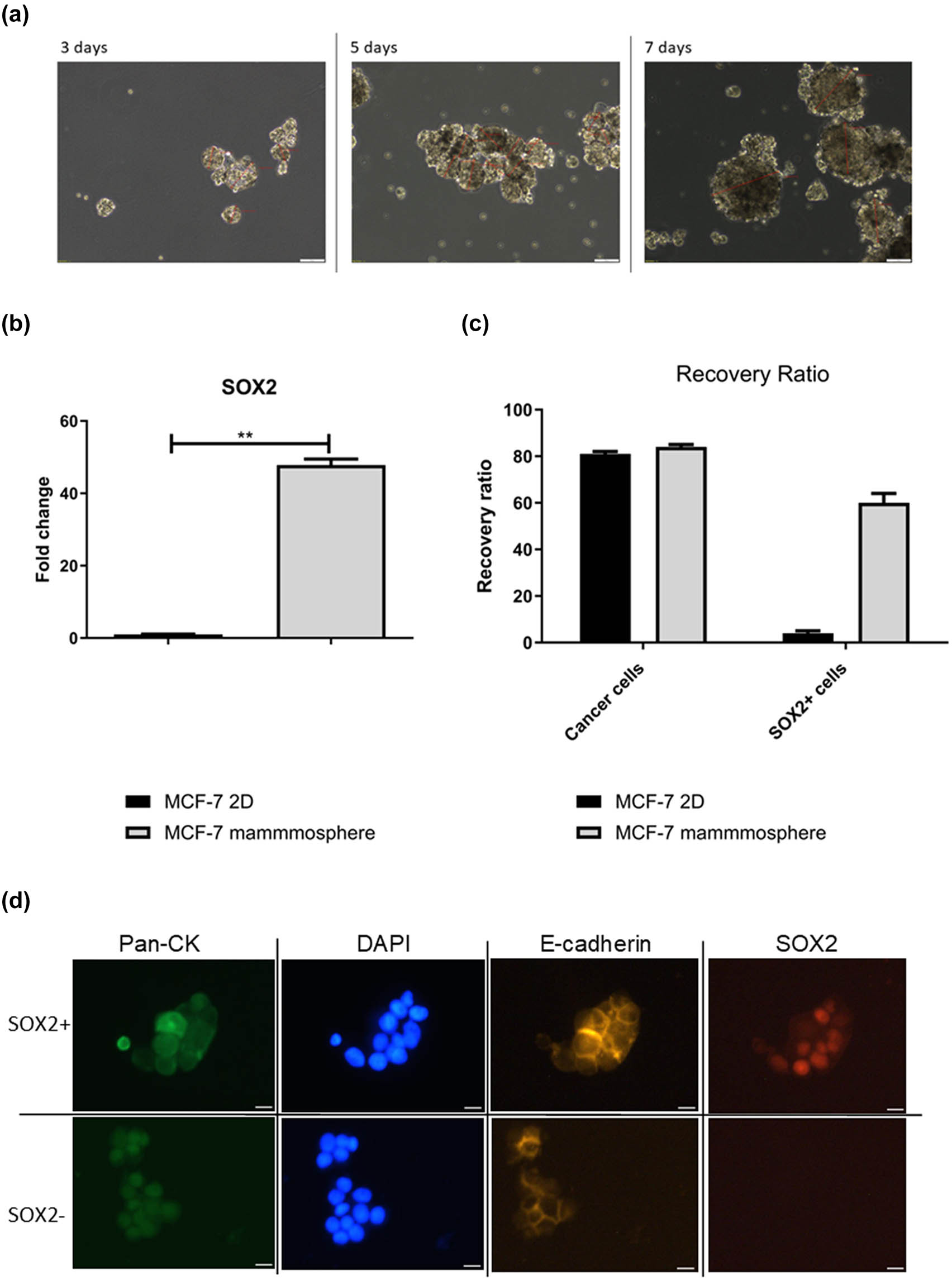 Teaser image from the article