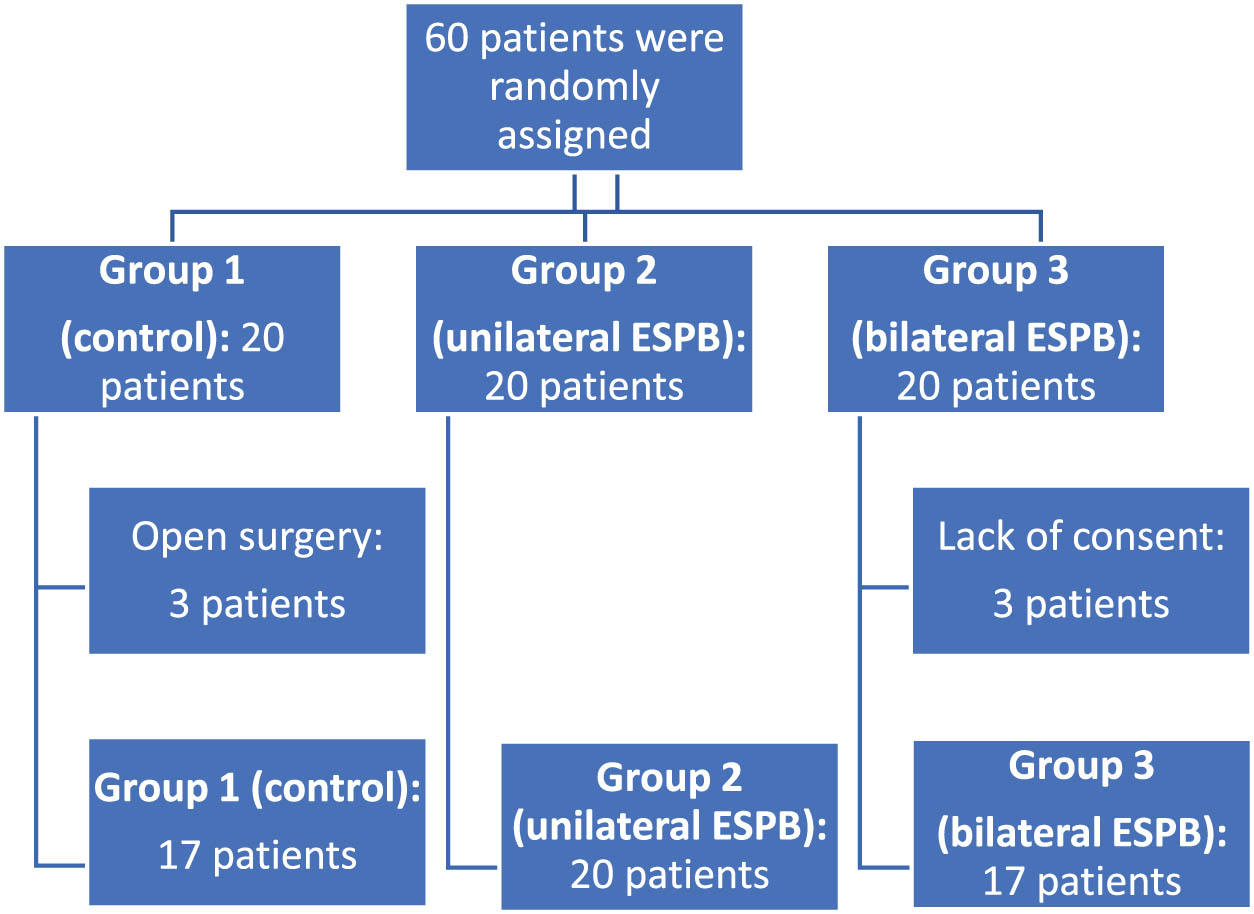 Figure 2 
               Flow chart of the study.
            