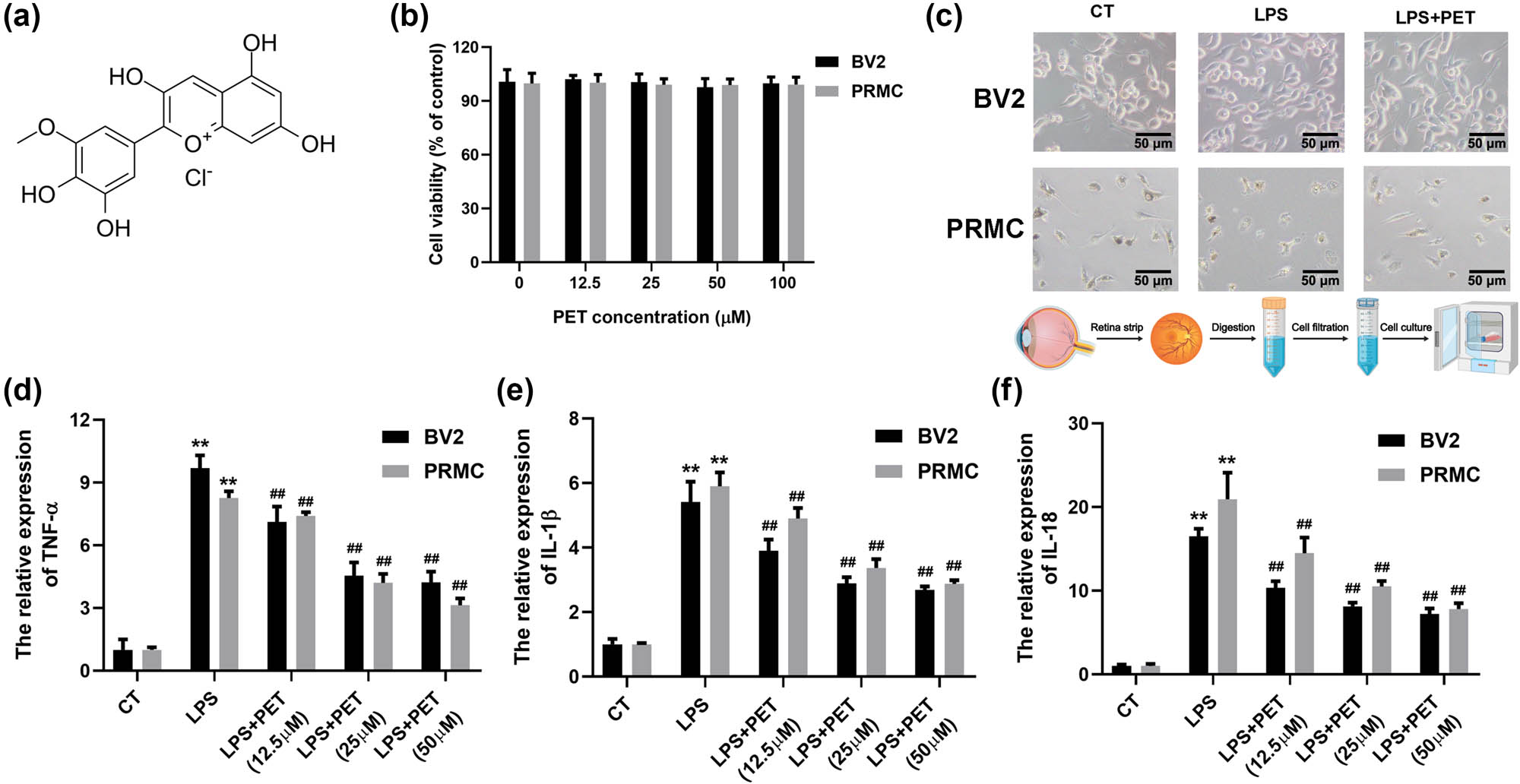 Teaser image from the article