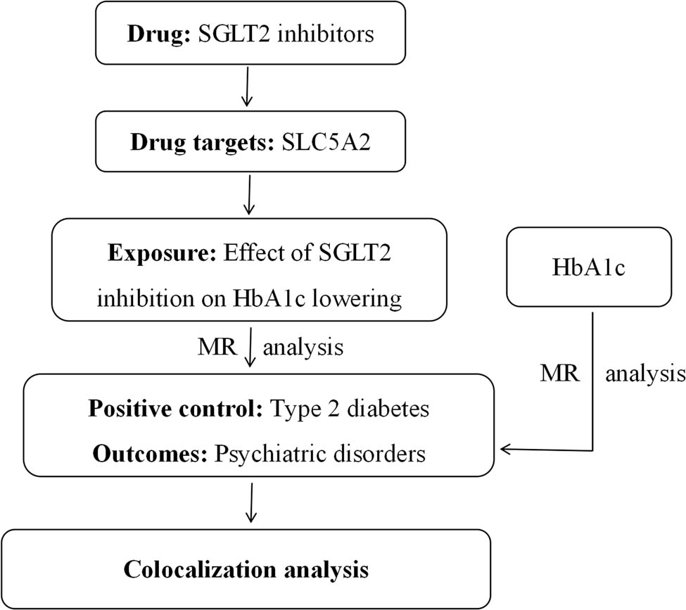 Teaser image from the article