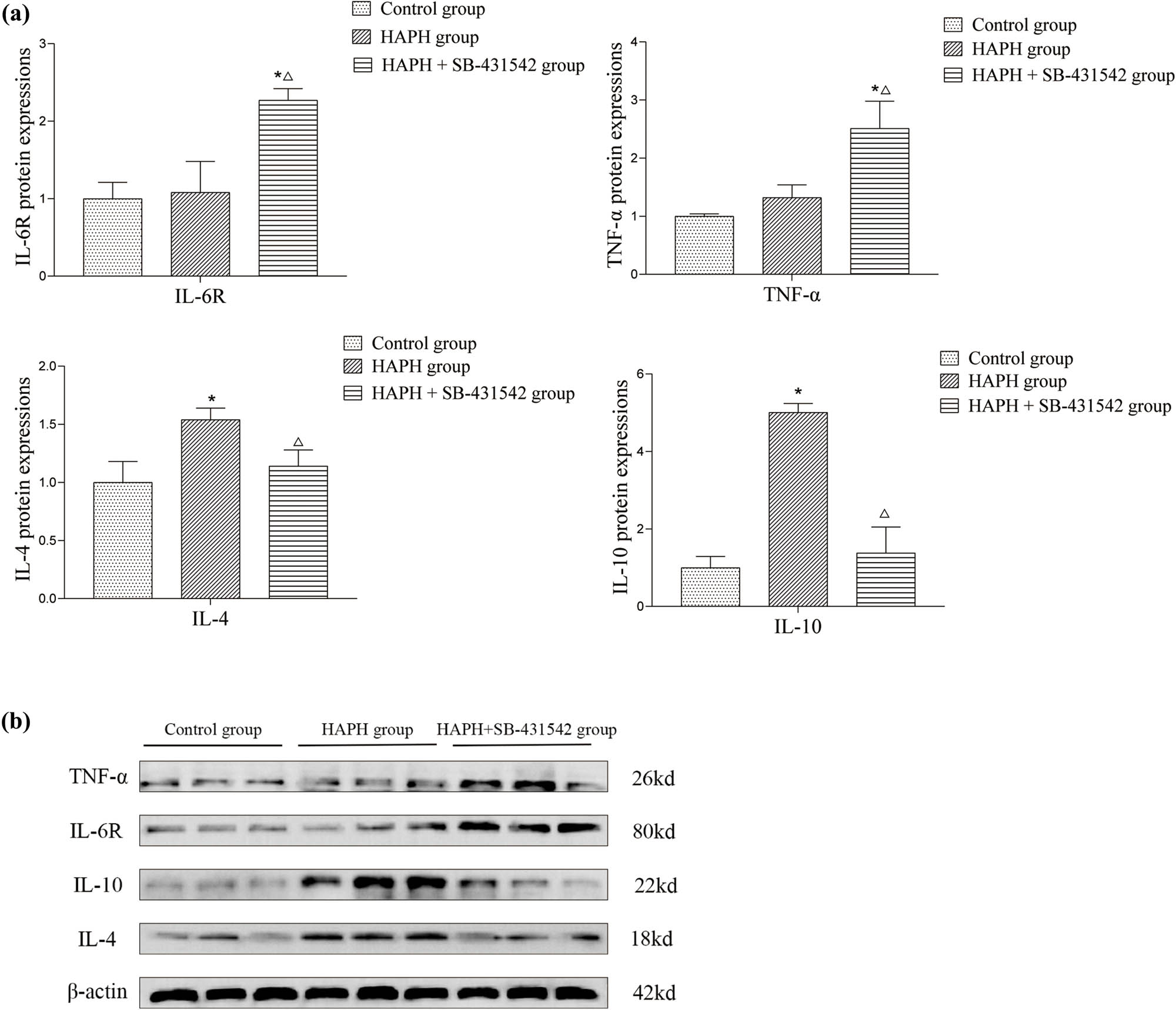 Figure 5 
                  Quantitative analysis of IL-6R, TNF-α, IL-4, and IL-10 expression levels in lung tissue (a). Representative western blot bands of target proteins (b). Values are presented as mean ± standard deviation. *p < 0.05 compared to the control group; Δp < 0.05 compared to the HAPH group. Abbreviations: IL-6R, interleukin 6 receptor; TNF-α, tumor necrosis factor alpha; IL-4, interleukin 4; IL-10, interleukin 10; SD, standard deviation; HAPH, high-altitude pulmonary hypertension.
               