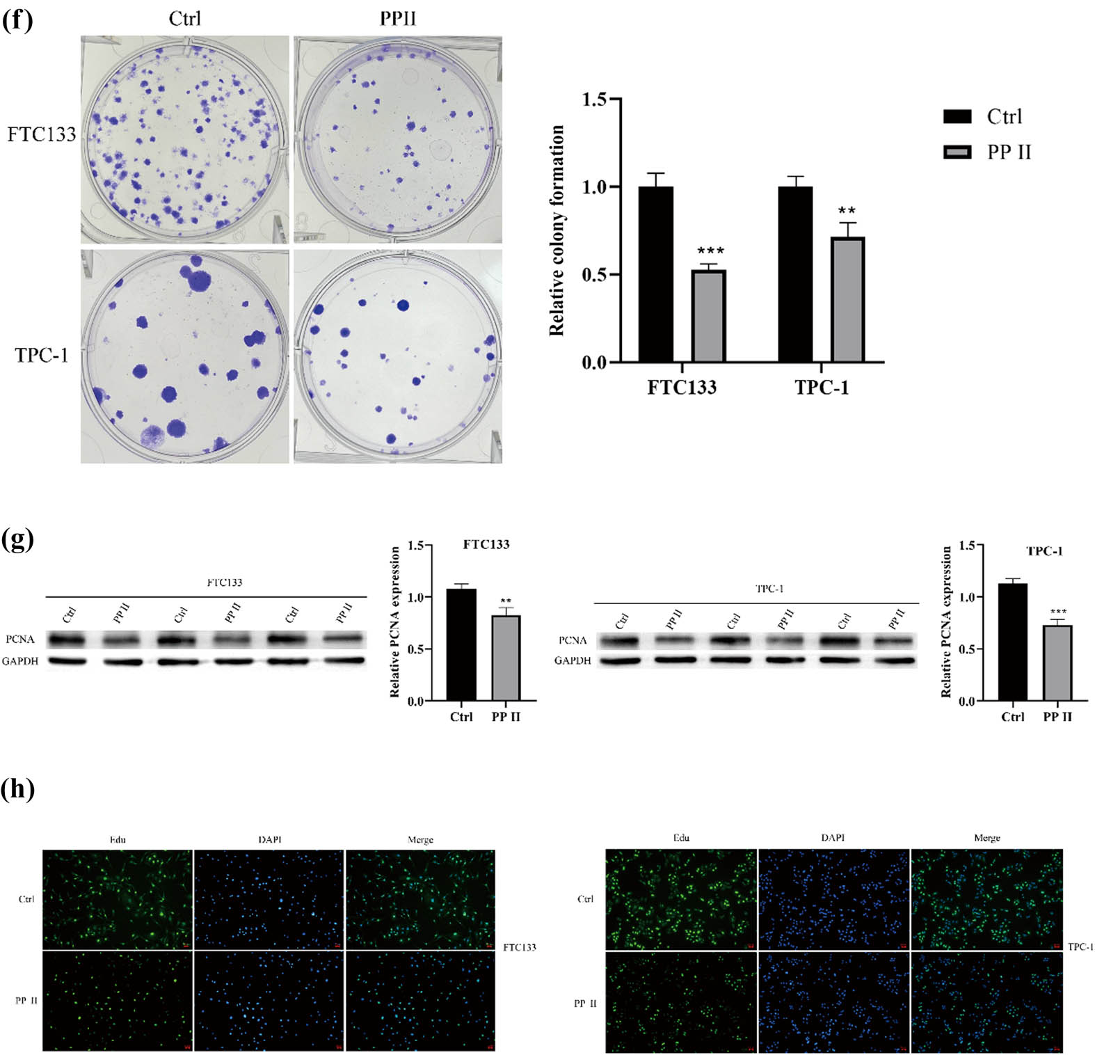 Teaser image from the article