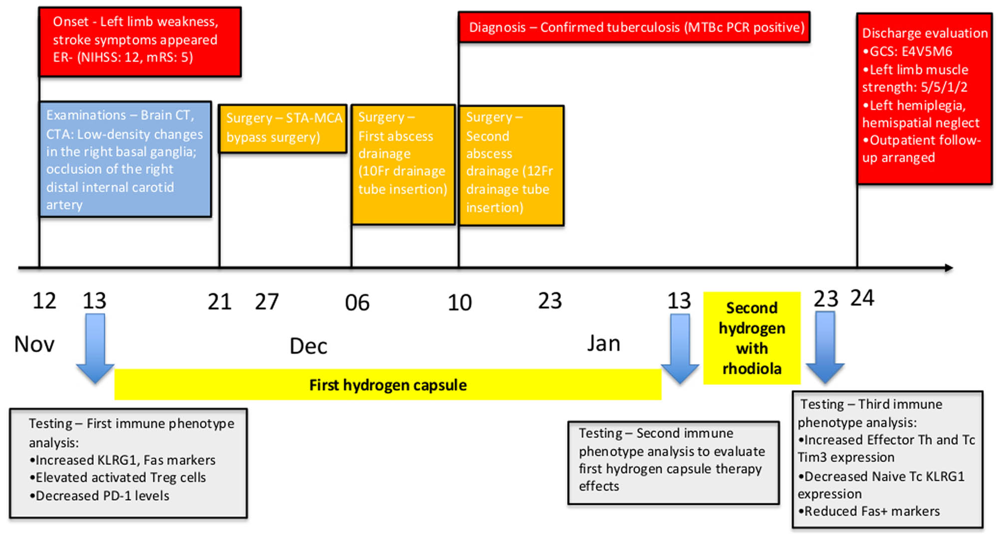 Figure 7 
               Clinical timeline and immunological evolution. This figure presents a chronological overview of key clinical events alongside dynamic immunophenotyping data across three major phases: (1) Initiation of hydrogen capsule supplementation during an arterial embolism episode, (2) postoperative recovery following STA–MCA bypass surgery, and (3) combined supplementation with hydrogen and Rhodiola capsules. Immunological trends observed over time include a progressive increase in regulatory Tr1-cell frequency and TIM-3 expression, along with a marked decrease in Fas⁺ apoptotic B-cell subsets. These immune changes temporally correlate with the patient’s gradual neurological recovery and overall clinical improvement.
            