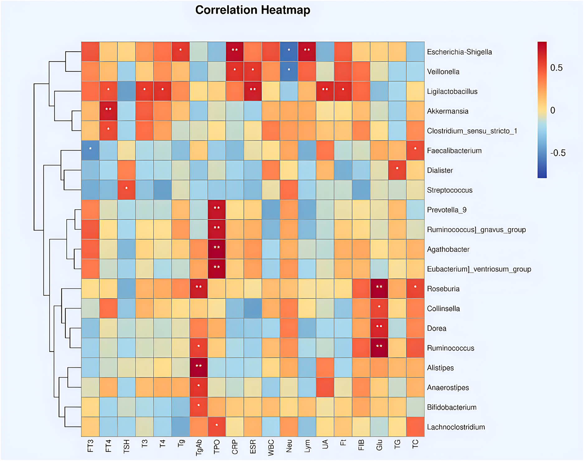 Teaser image from the article