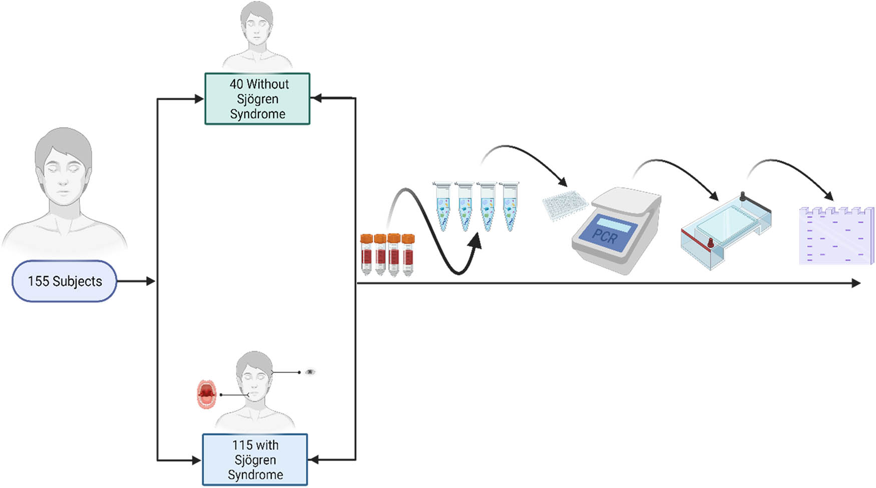 Teaser image from the article
