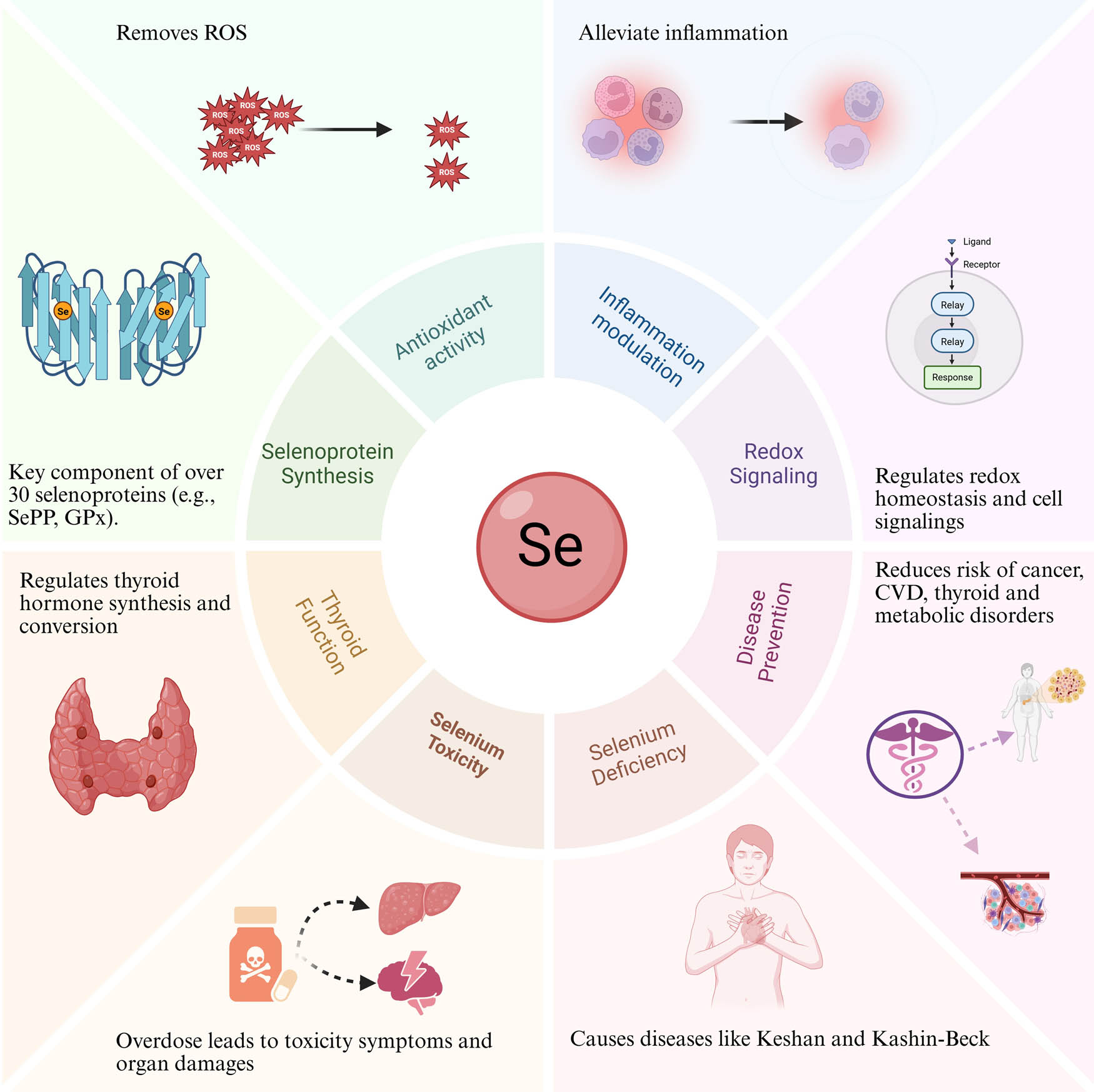 Teaser image from the article