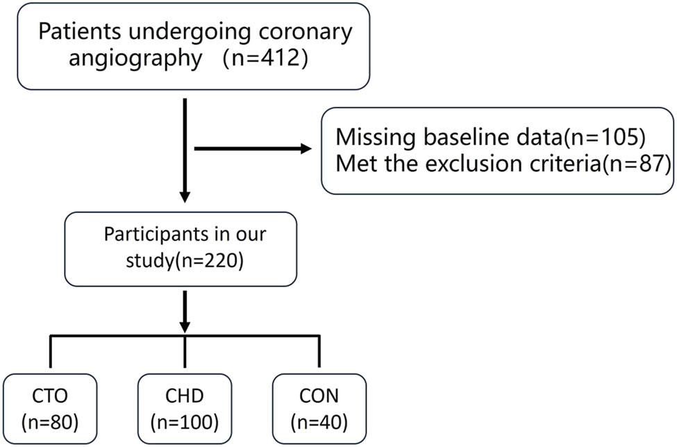 Figure 1 
                  Flowchart of the participant inclusion and exclusion processes. Note: CTO: chronic total occlusion; CHD: coronary heart disease (stenosis); CON: control.
               