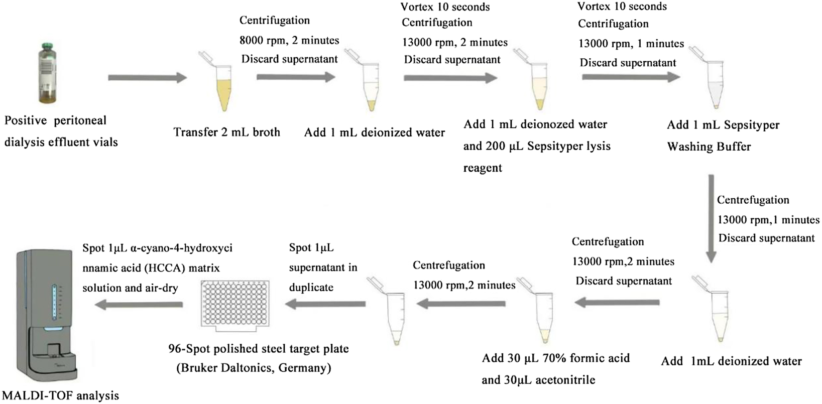 Figure 1:
Overview of the modified Sepsityper Kit protocol for rapid identification from positive blood cultures.