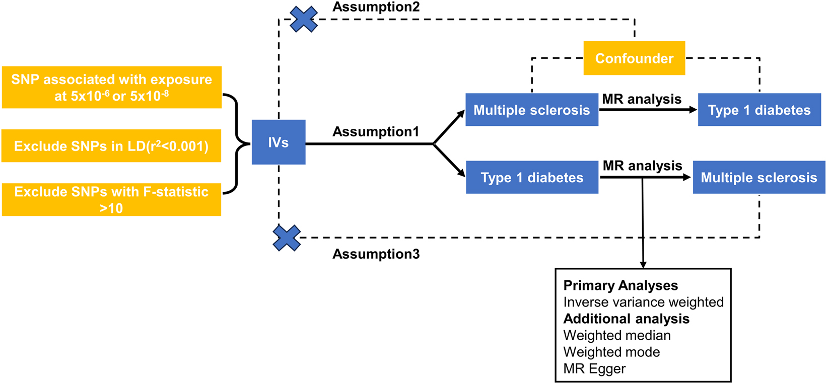 Figure 1:
Diagram of the Mendelian randomization study for the association between multiple sclerosis and type 1 diabetes. SNP, single nucleotide polymorphism; IVs, instrumental variables.