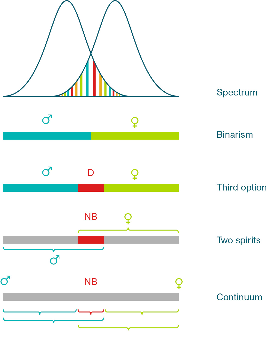 Figure 2: Multiple logics of seeing sex/gender diversity and (non-)binarity: a) as a spectrum with overlaps, which may constitute DSD, b) reduction to a binary on a deeper ontological level, c) with a “third option” in between, in German law called “diverse”, d) non-binary people as both sexes, or “two spirits”, e) as a continuum with multiple options to distinguish between sex/gender categories, depending on contexts.