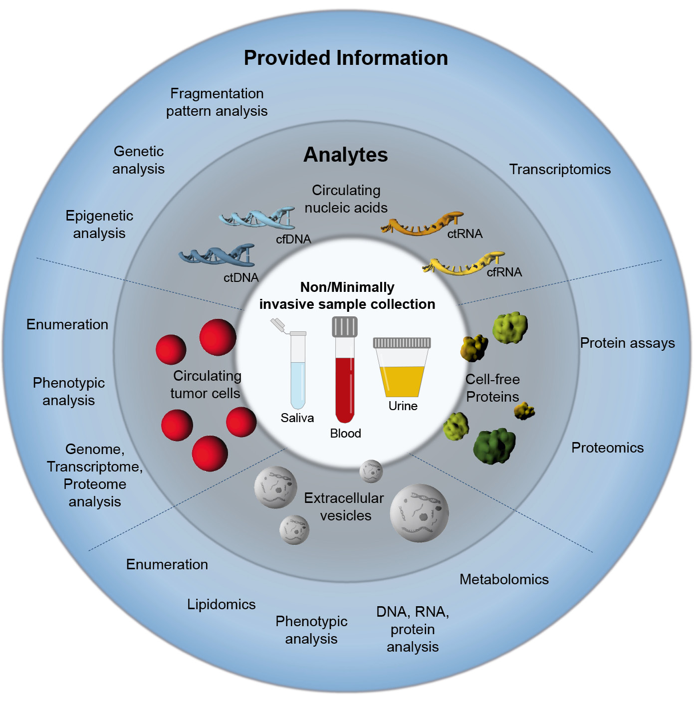 Figure 1: Graphical overview on liquid biopsy, its analytes and obtainable information on the tumor. Parts of the figure were drawn by using pictures from Servier Medical Art. Servier Medical Art by Servier is licensed under a Creative Commons Attribution 3.0 Unported License (https://creativecommons.org/licenses/by/3.0/).