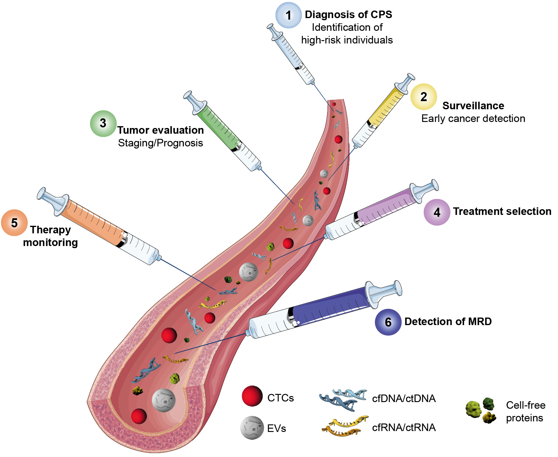 Figure 2: Timeline of potential clinical applications of liquid biopsy in individuals with CPS.
CPS: Cancer predisposition syndrome; MRD: Minimal residual disease; CTCs: Circulating tumor cells, EVs: Extracellular vesicles . Parts of the figure were drawn by using pictures from Servier Medical Art. Servier Medical Art by Servier is licensed under a Creative Commons Attribution 3.0 Unported License (https://creativecommons.org/licenses/by/3.0/).
